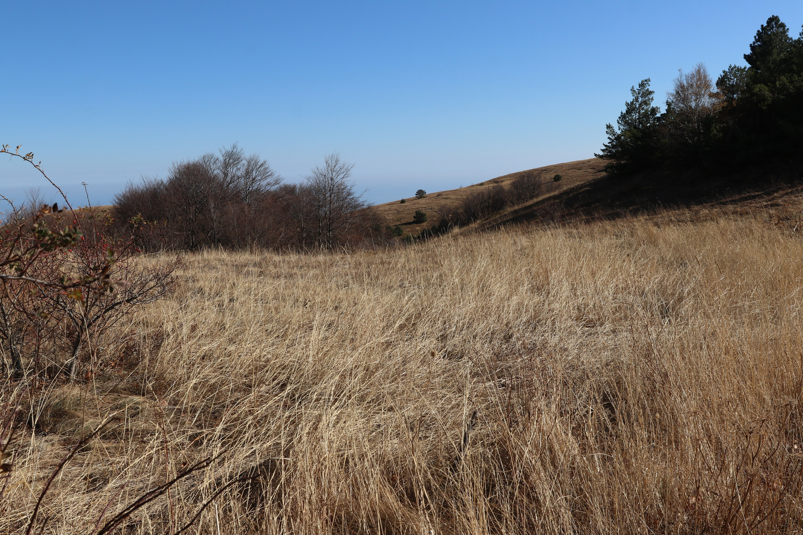 Крым. ЮБК (Гурзуф, Судак и их окрестности). Ноябрь 2023. Путешественник-фотограф из Санкт-Петербурга Татьяна Свистулина