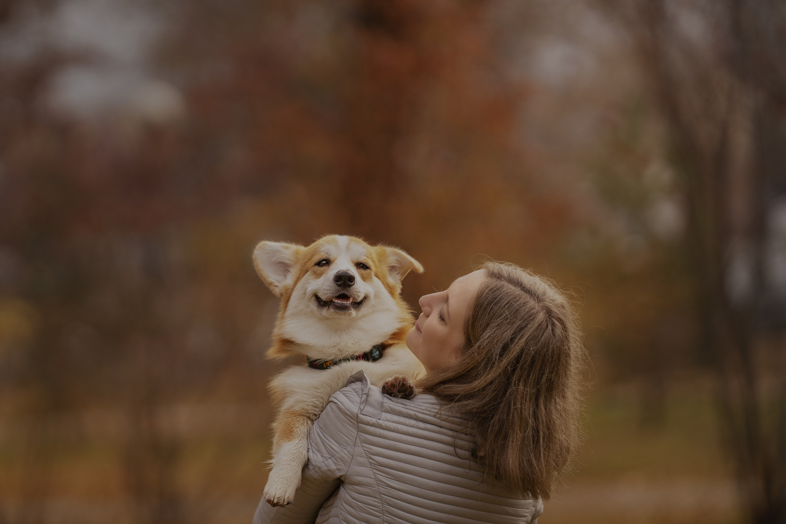 Ольга с семьей и их коргибанда. Kameramotor74