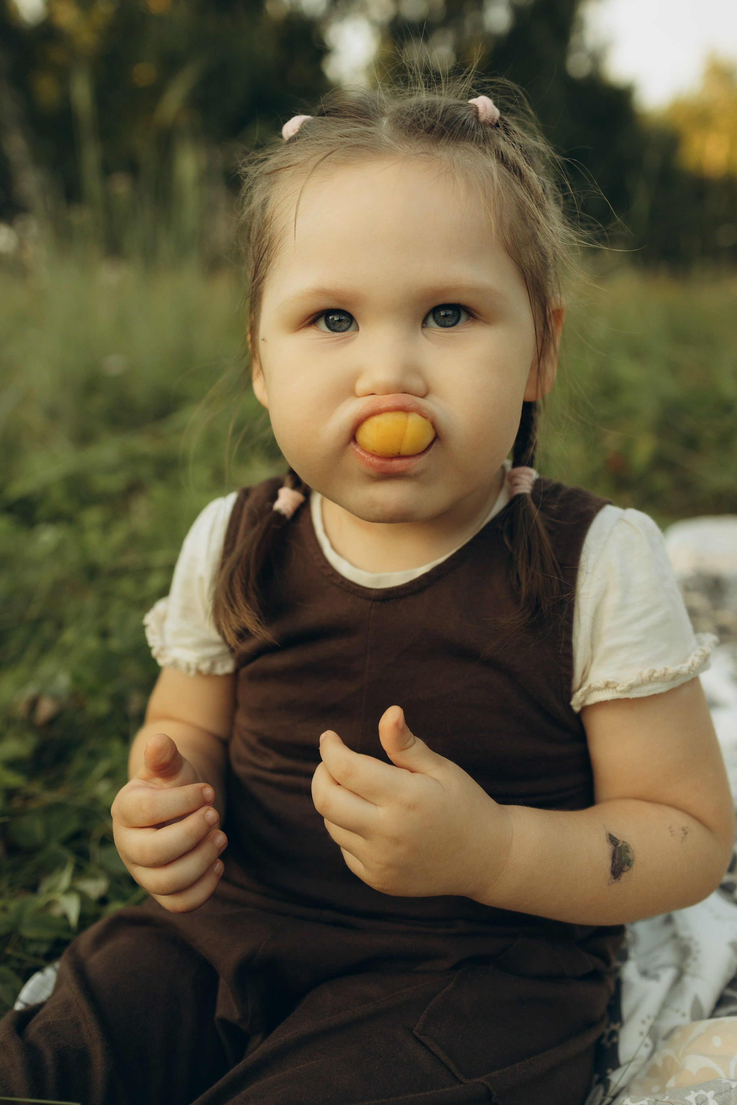 На природе. Семейный фотограф Новосибирск Фотограф на выписку Новосибирск