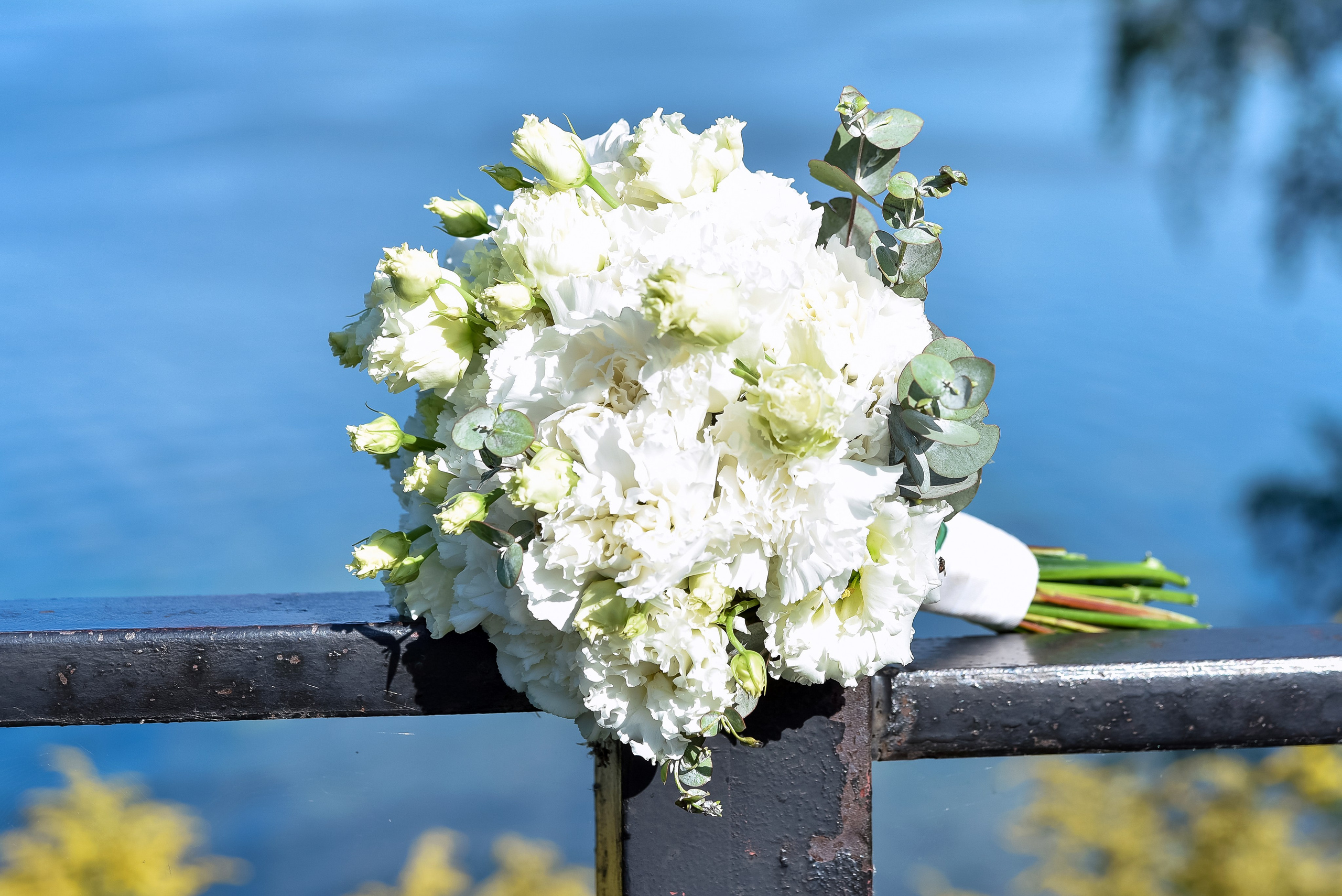 Ангелина и Никита 16.08.2025. Фотограф Наталья Криночкина