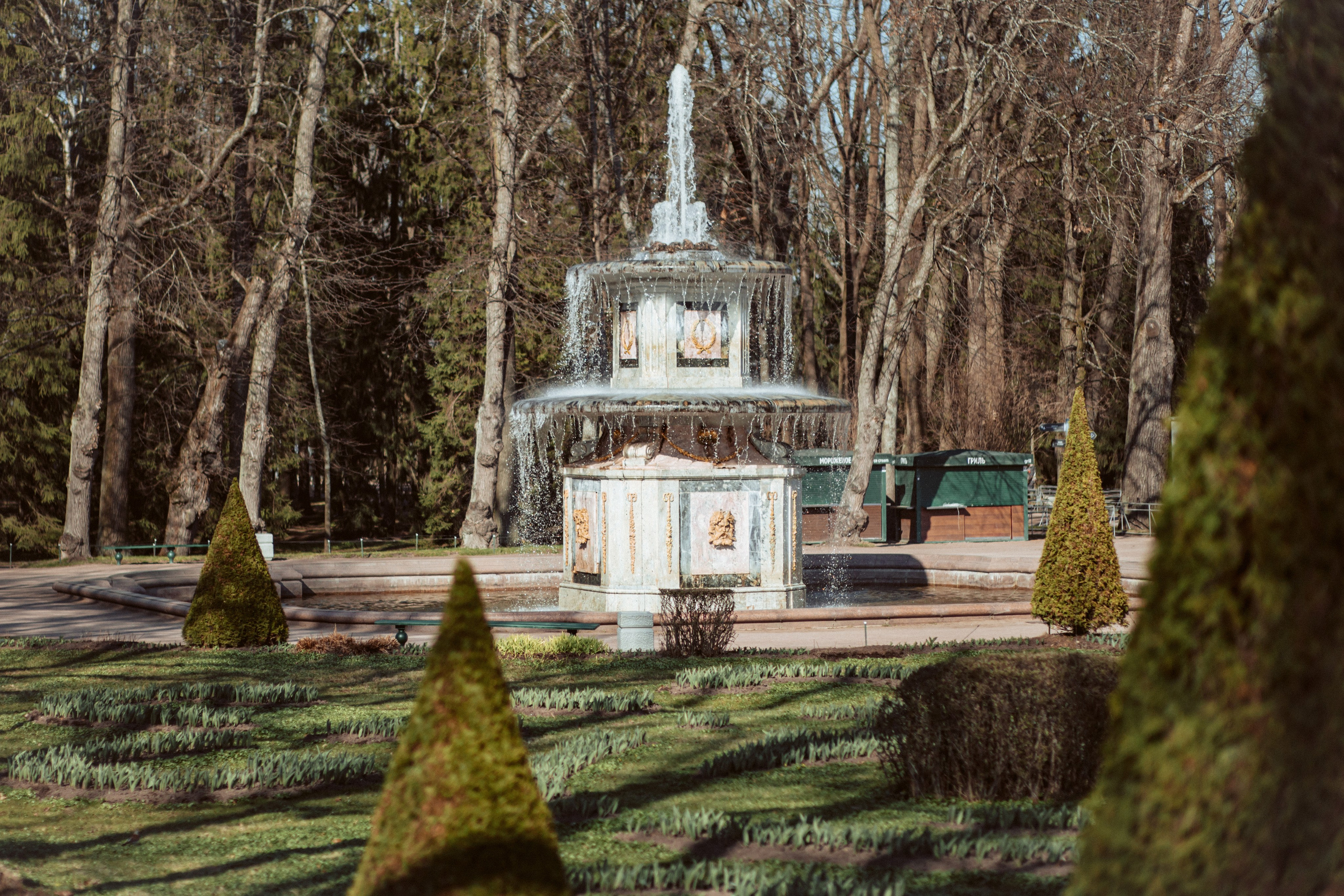 Петергоф нижний парк фото