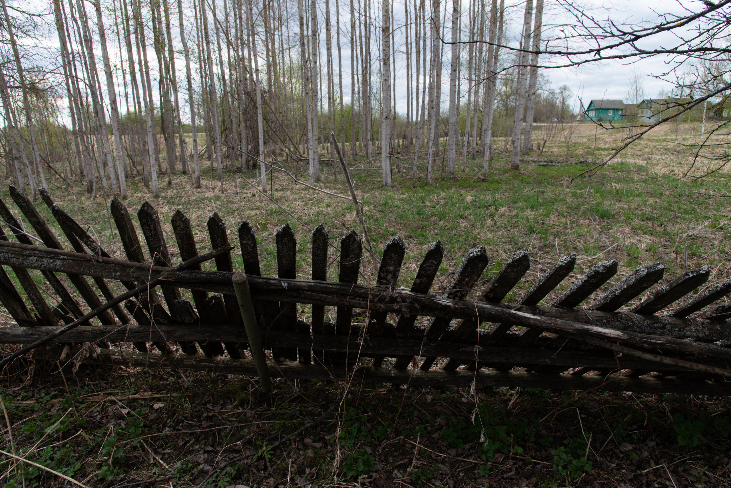 Пейзаж. Фотография для жизни от Елены Чихичиной