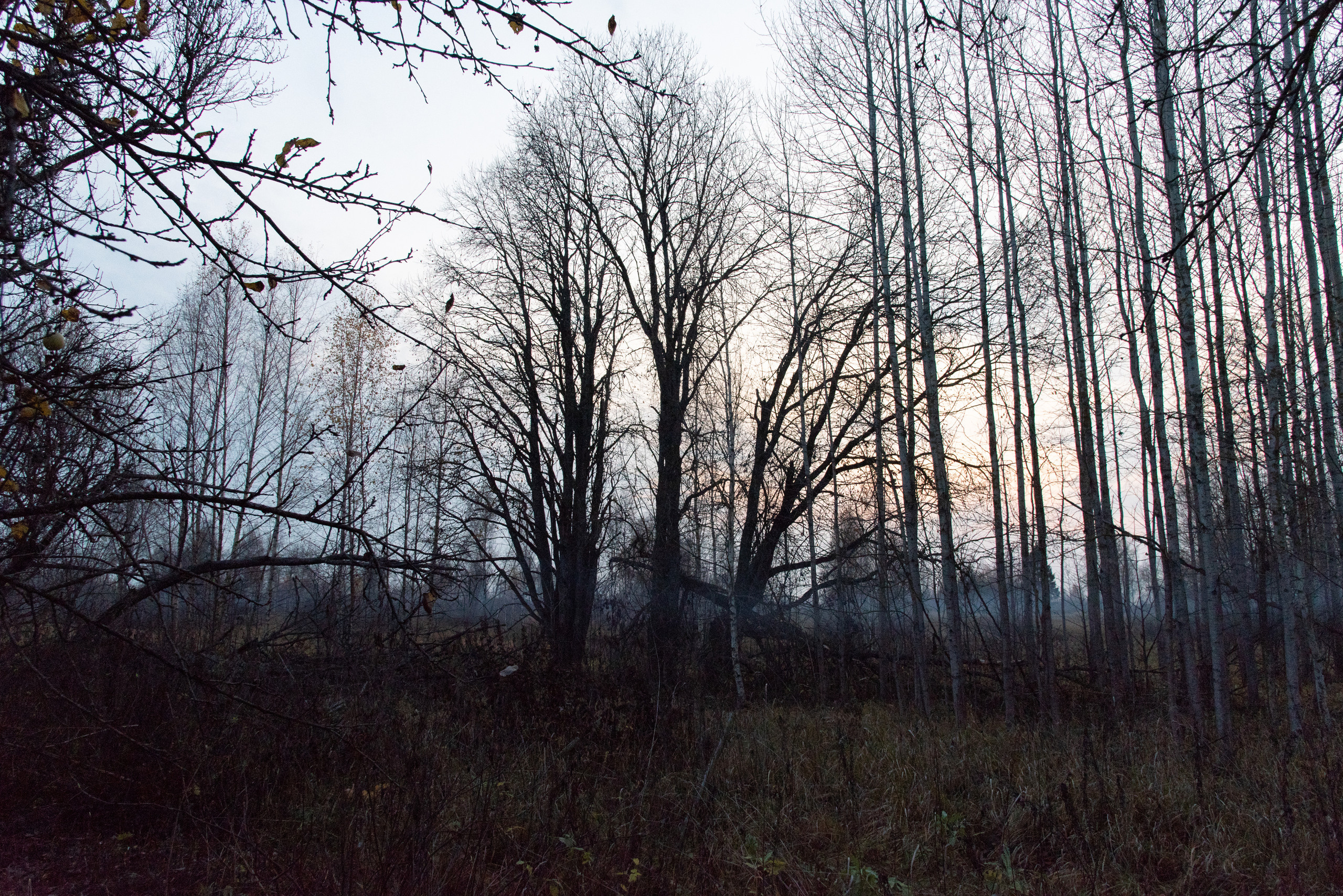 Пейзаж. Фотография для жизни от Елены Чихичиной