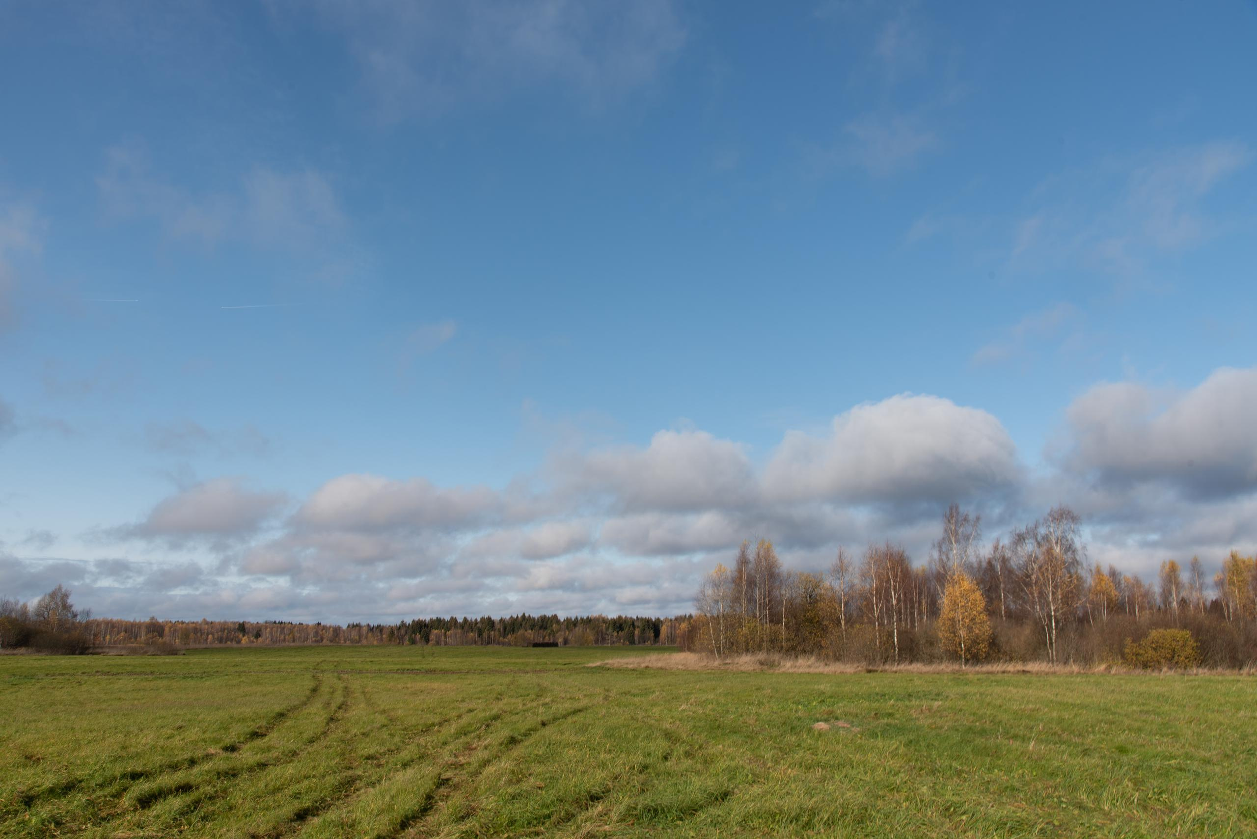 Пейзаж. Фотография для жизни от Елены Чихичиной