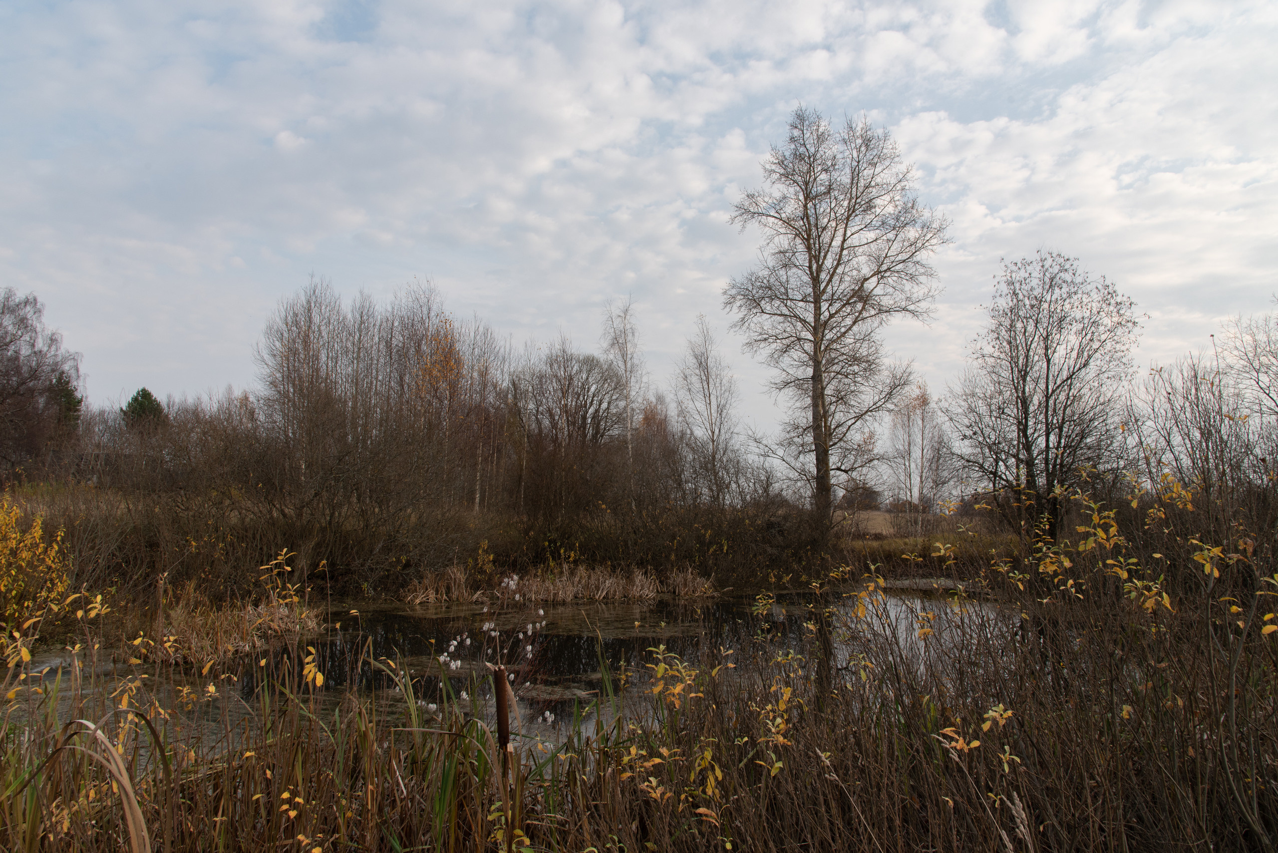 Пейзаж. Фотография для жизни от Елены Чихичиной