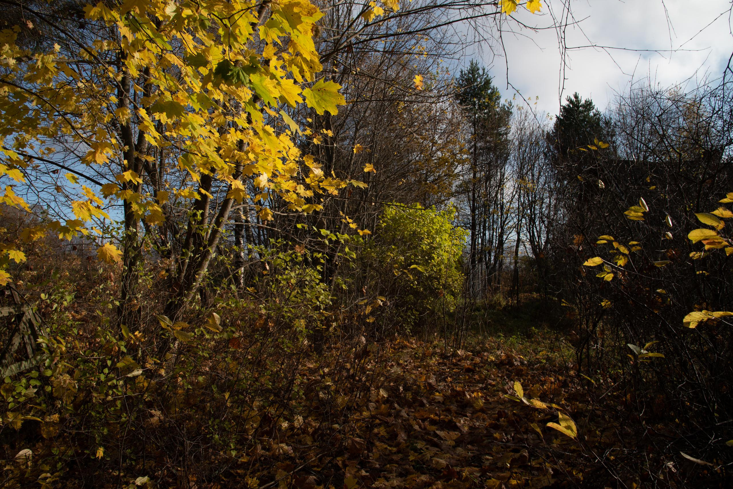 Пейзаж. Фотография для жизни от Елены Чихичиной