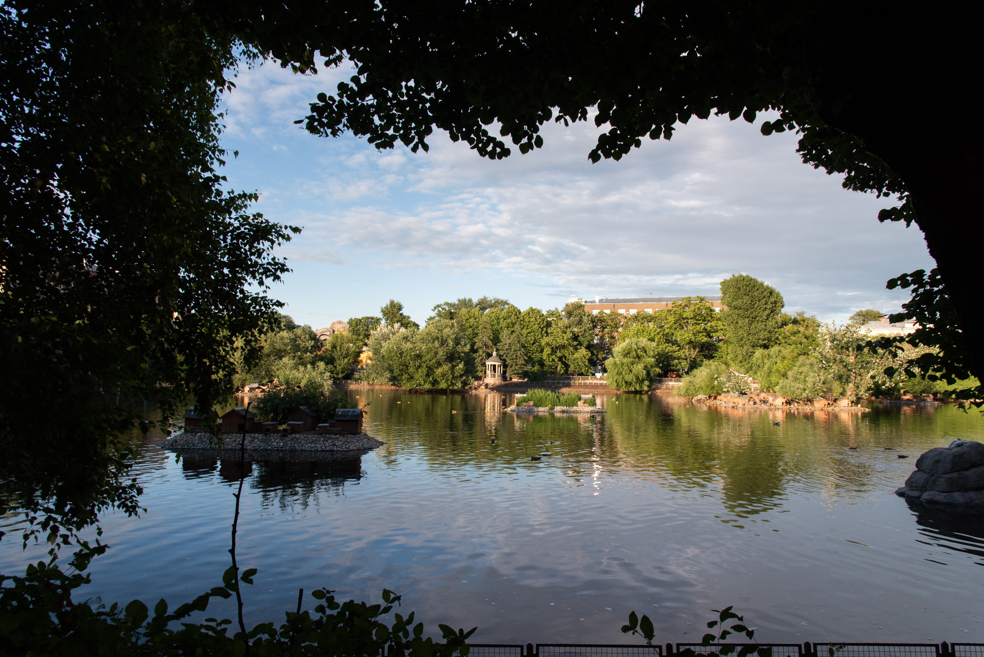 Пейзаж. Фотография для жизни от Елены Чихичиной