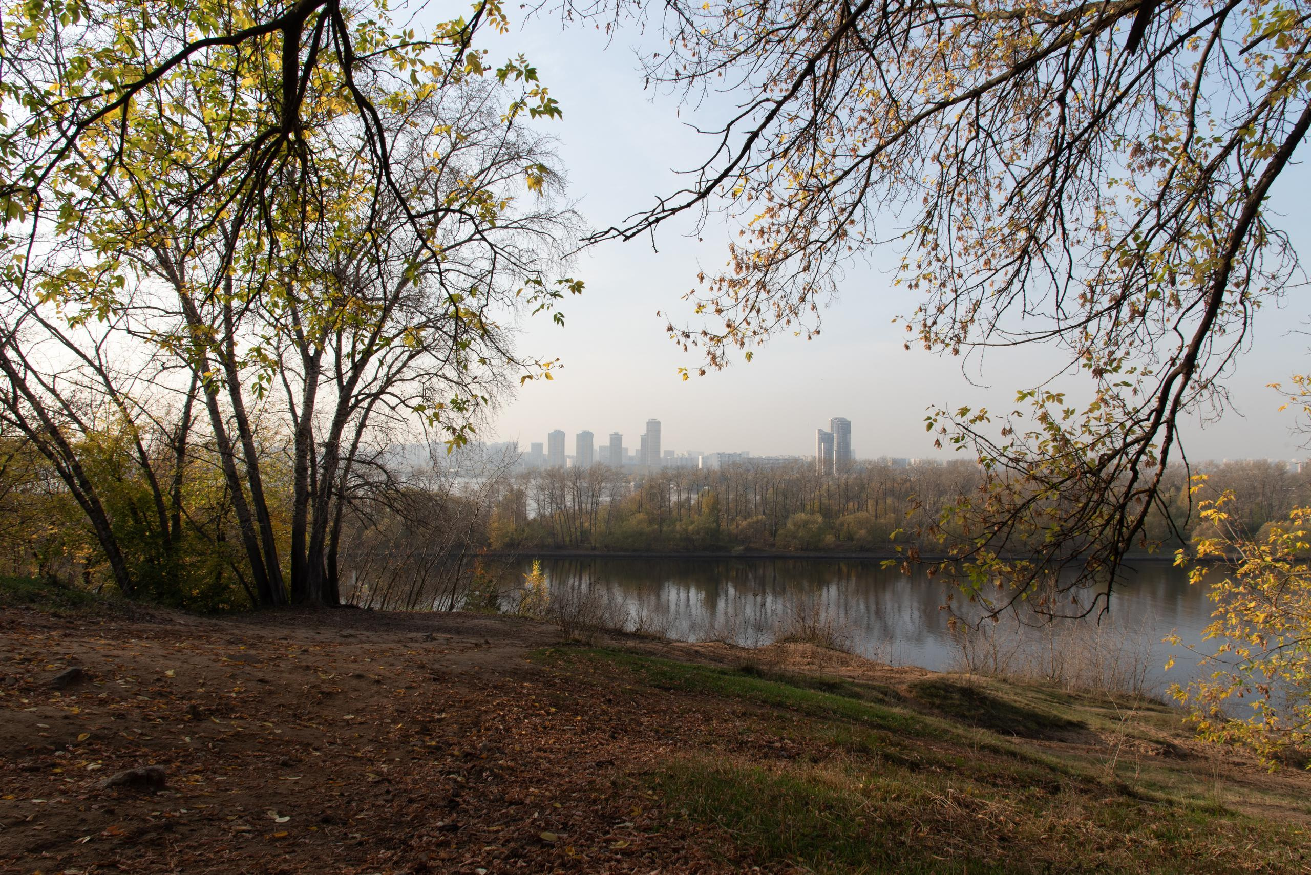 Пейзаж. Фотография для жизни от Елены Чихичиной