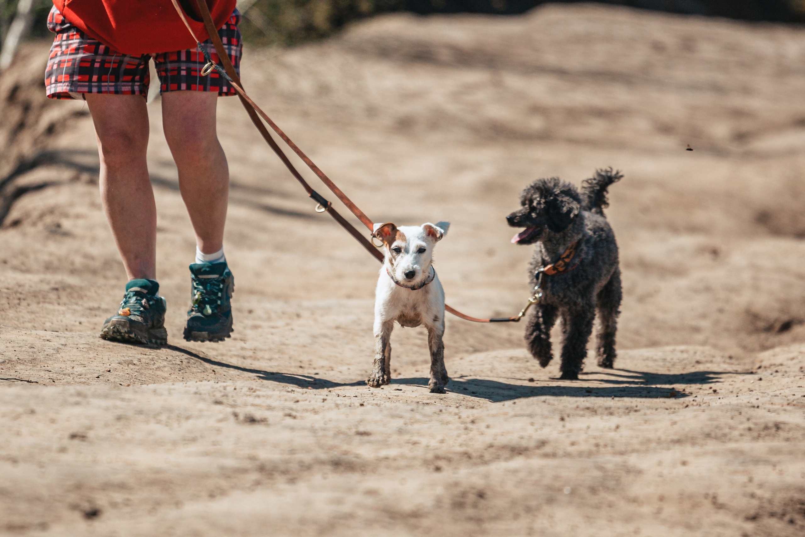 Кондуки. Фотограф-анималист Татьяна Степанова