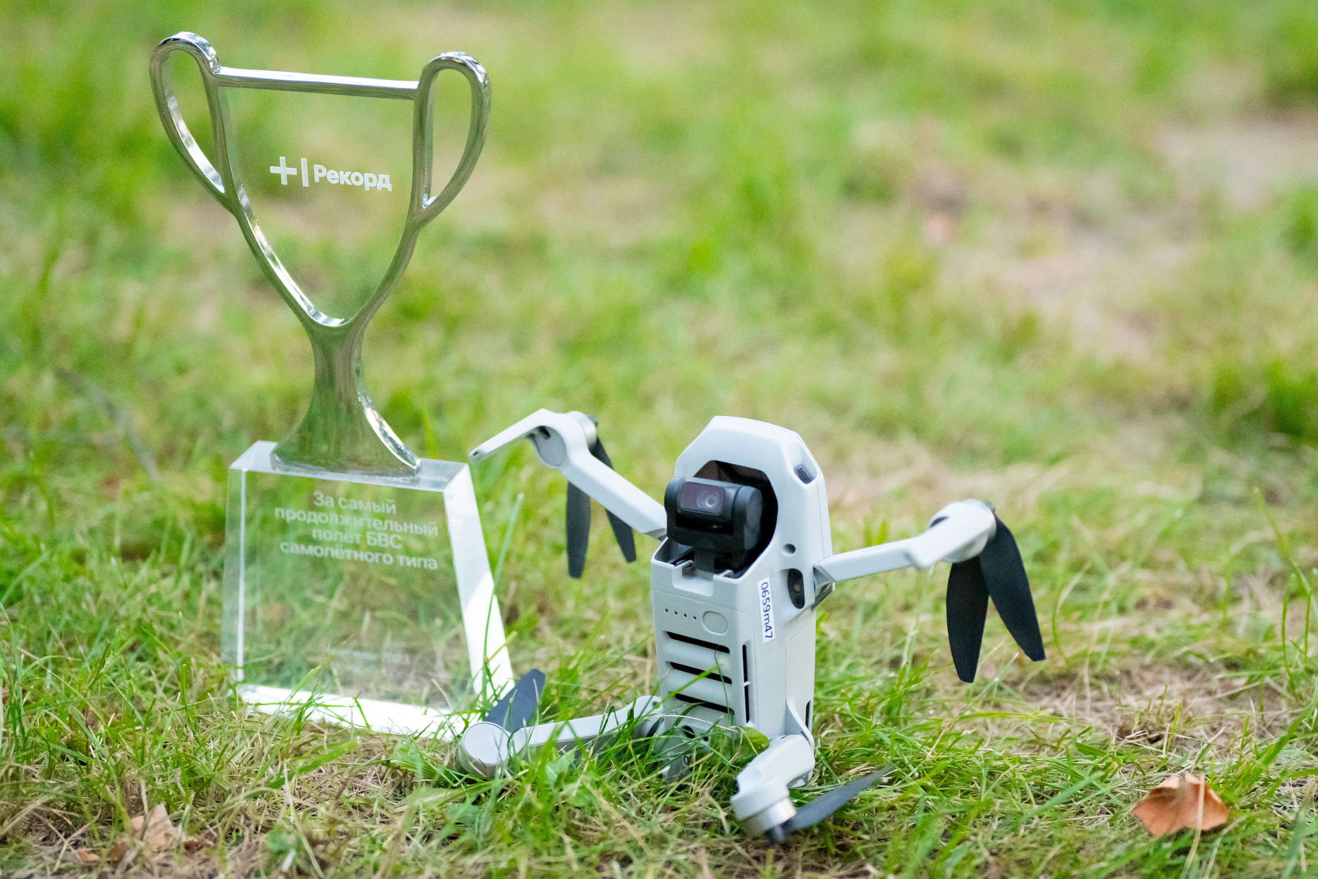 Победители небесных компетенций. Фотограф и видеограф в Москве Анна Матюхина