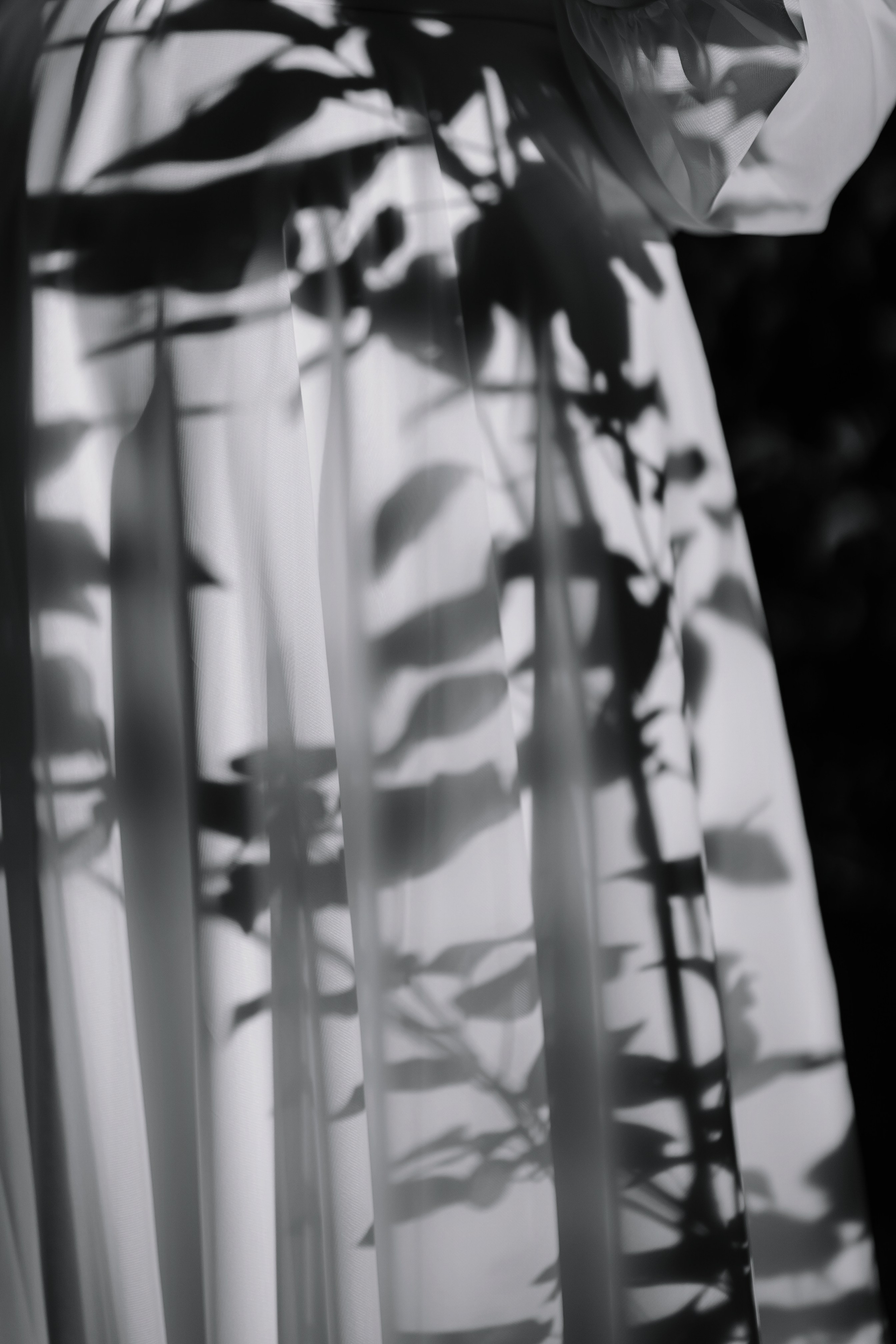 Илья/Влада. Свадебный фотограф