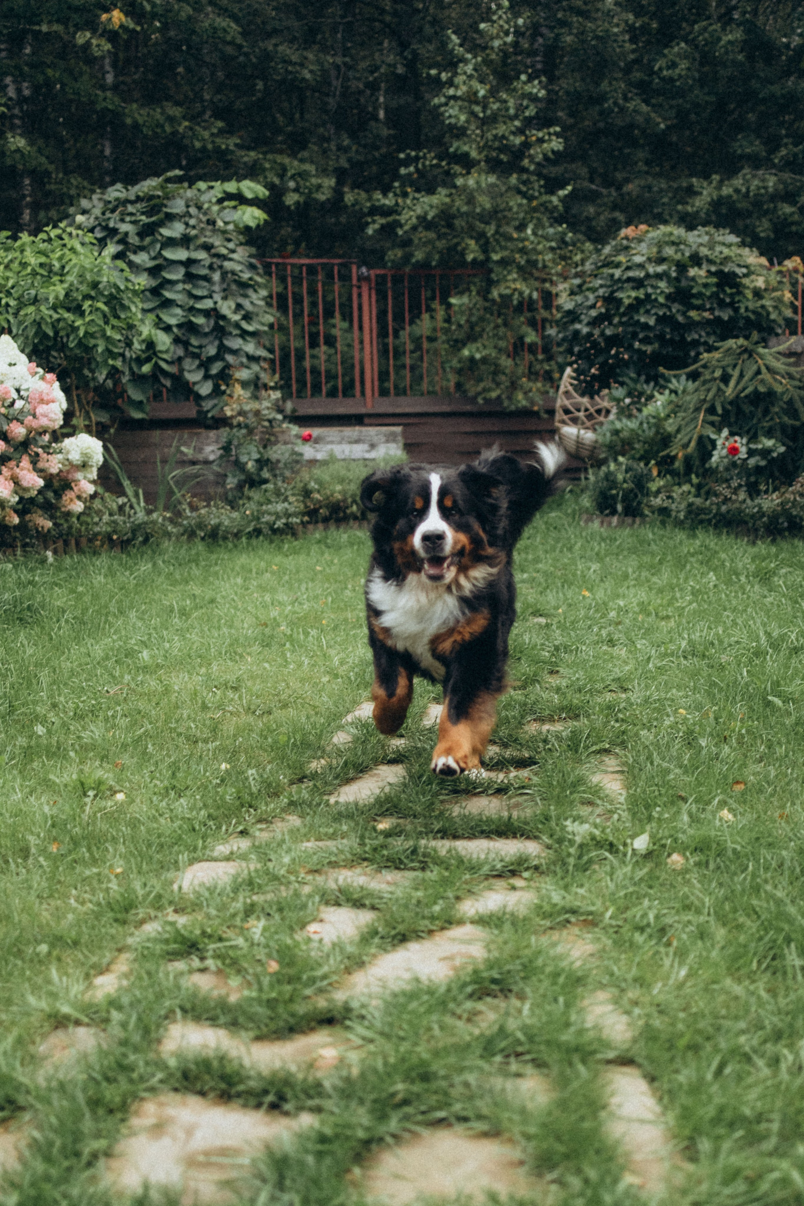 Таня и Тери