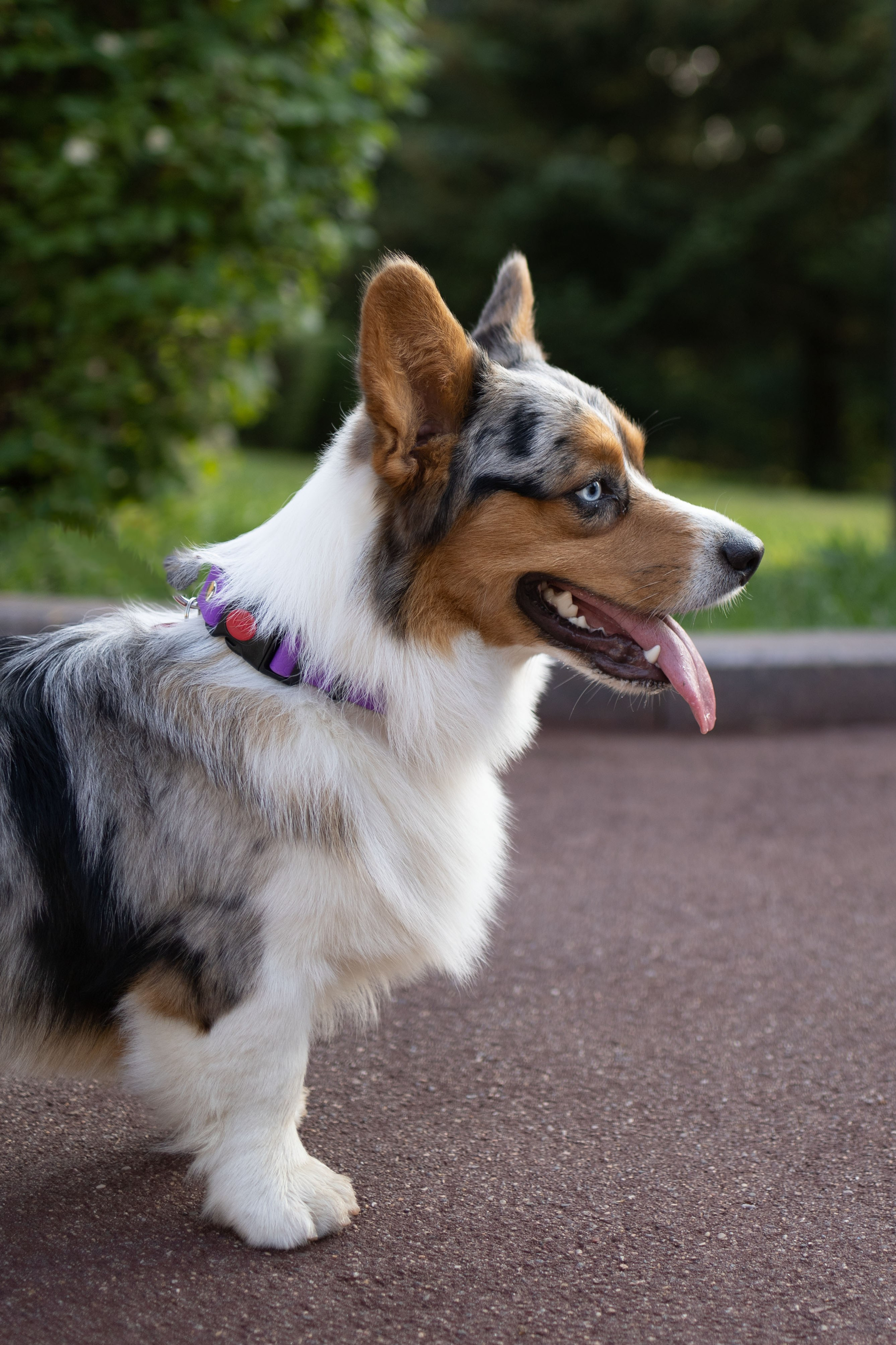 Евгения и Грей