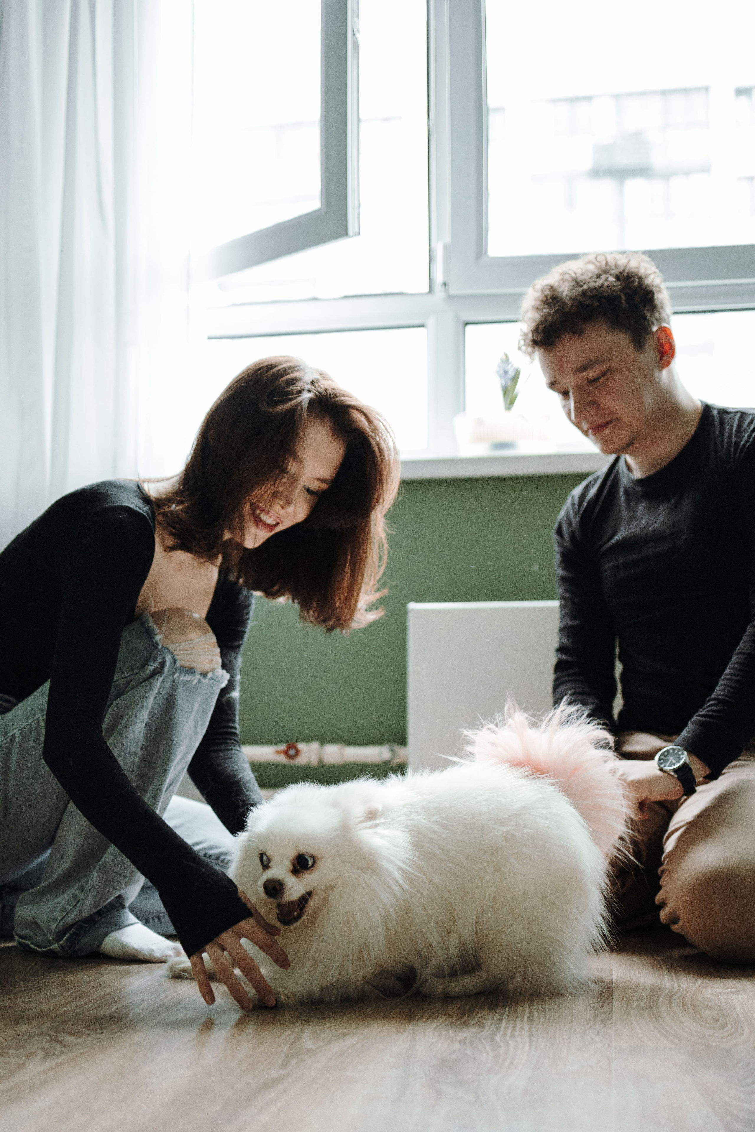 Шпиц Мася и ее семья