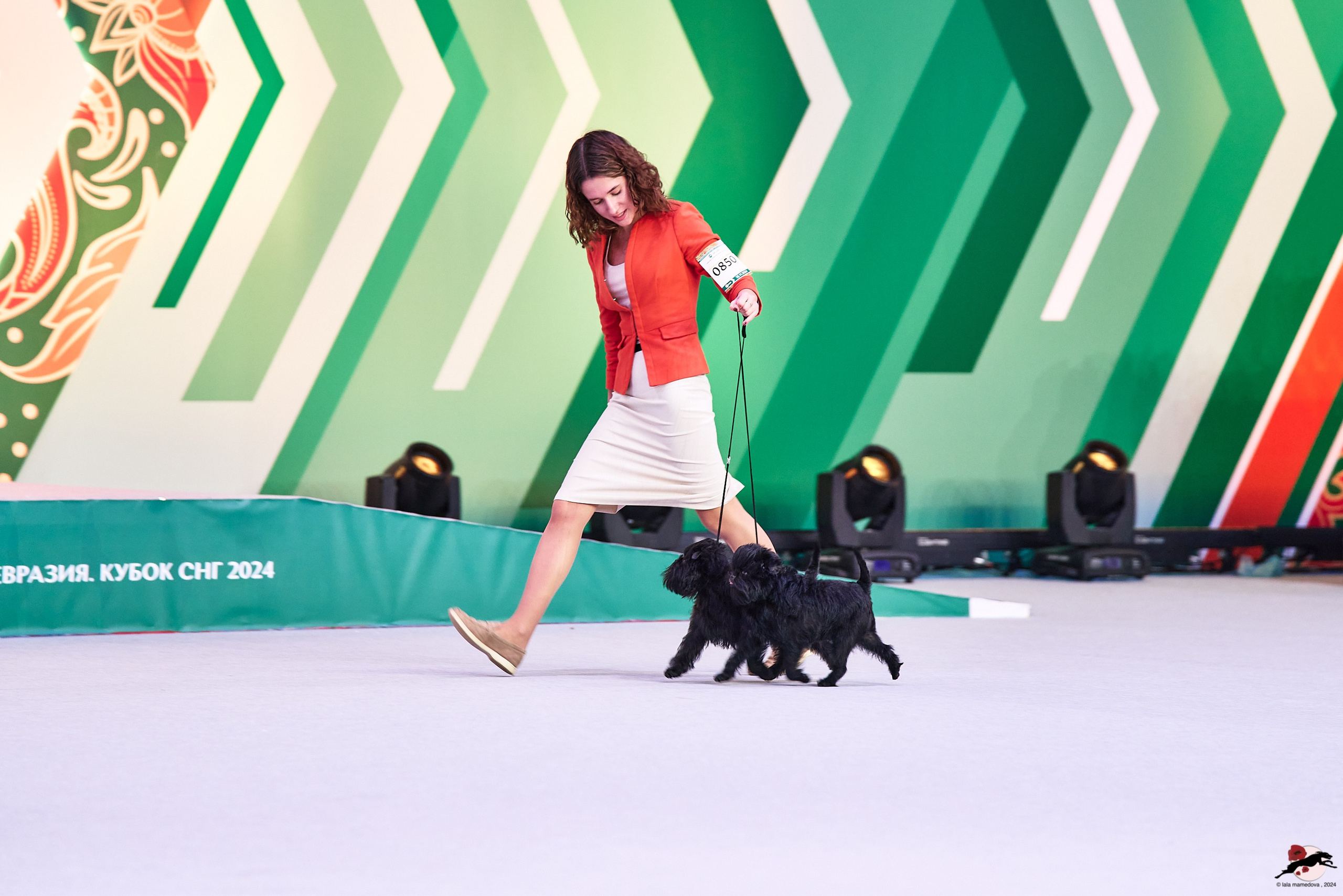 16.11.2024 «ЕВРАЗИЯ. КУБОК ПРЕЗИДЕНТА РКФ 2024»