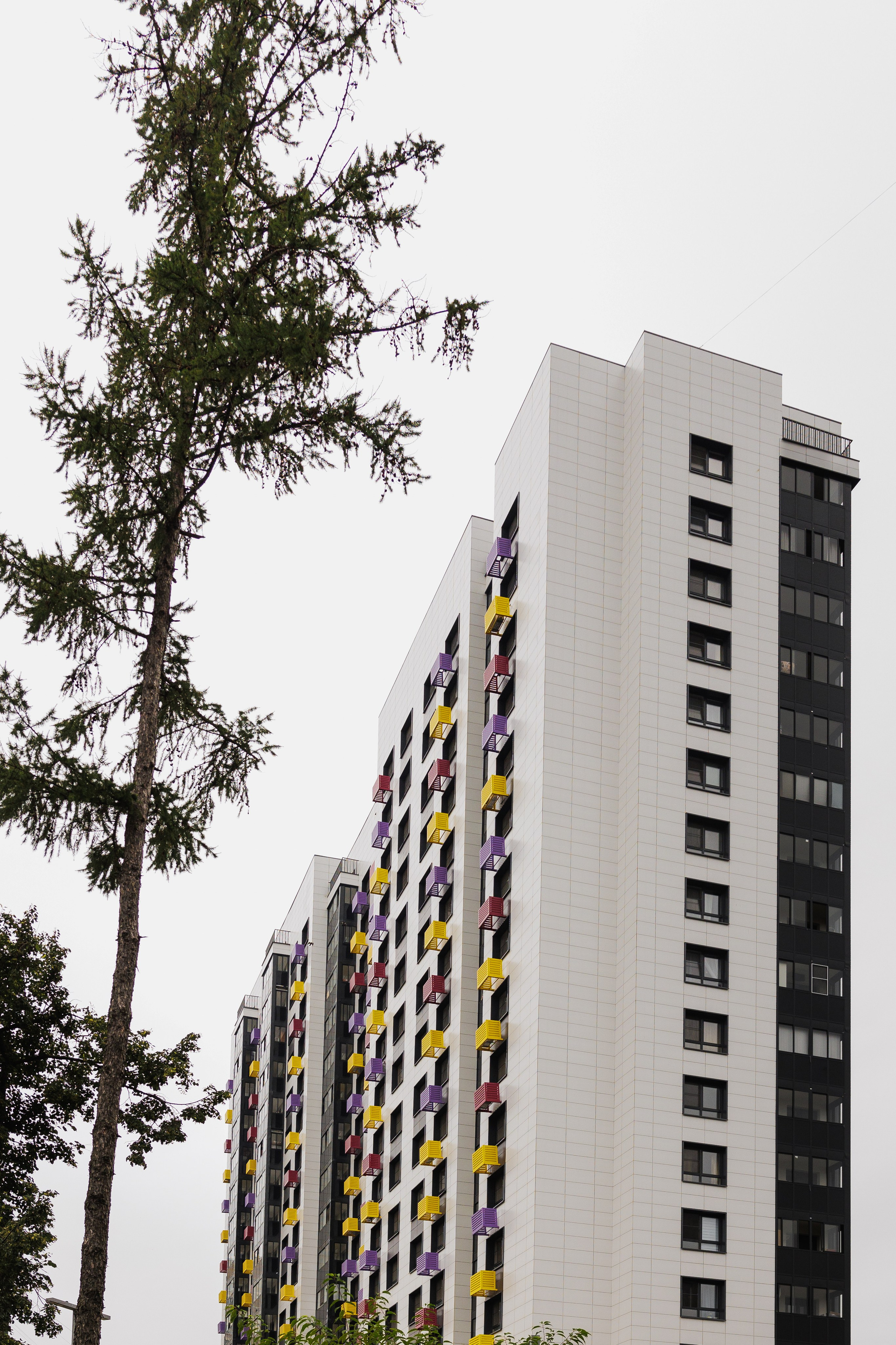 РЕНОВАЦИЯ — МОЛОДЦОВА 25. АЛТ Портфолио