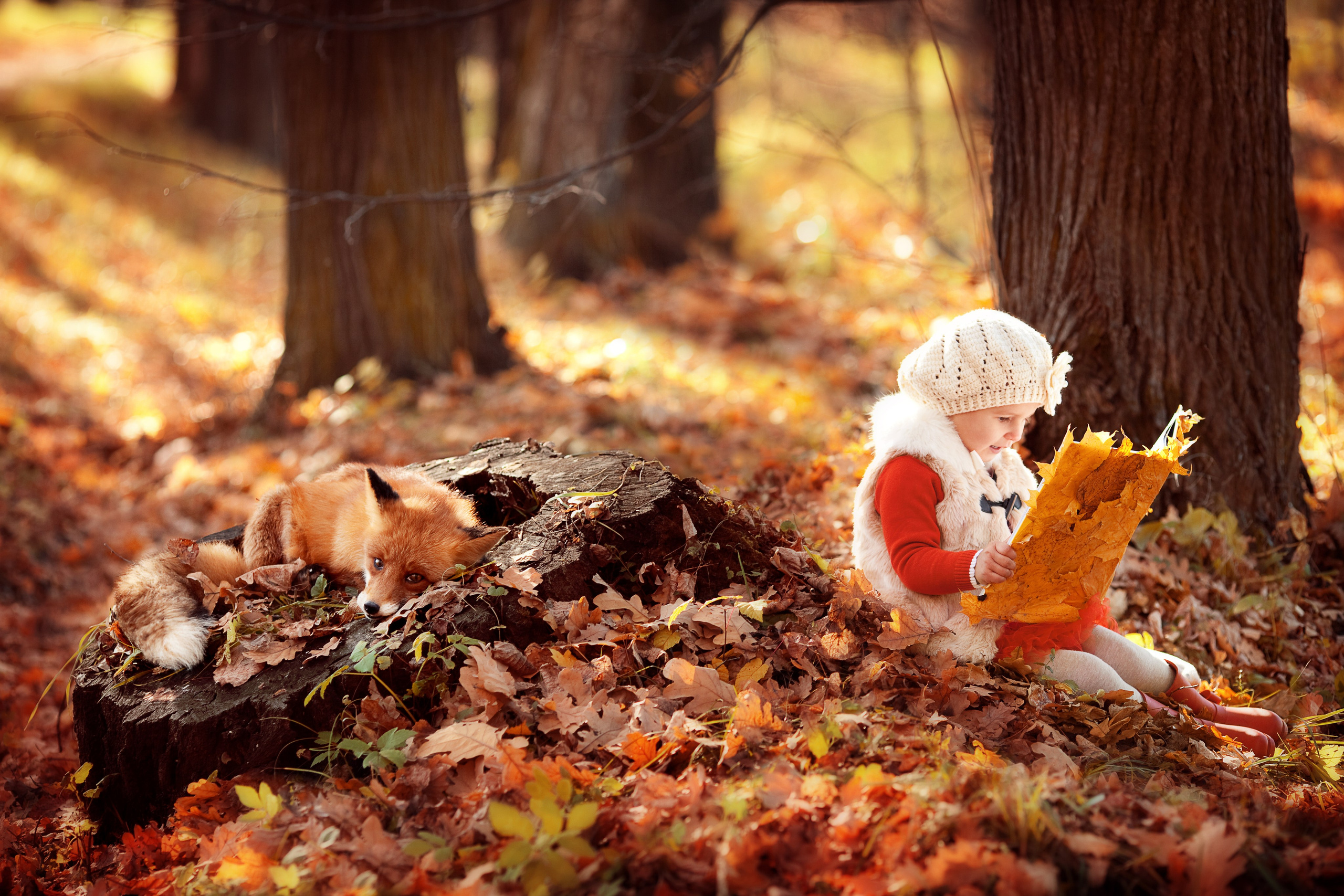 Портфолио. Карнеева Елена. Детский, семейный фотограф