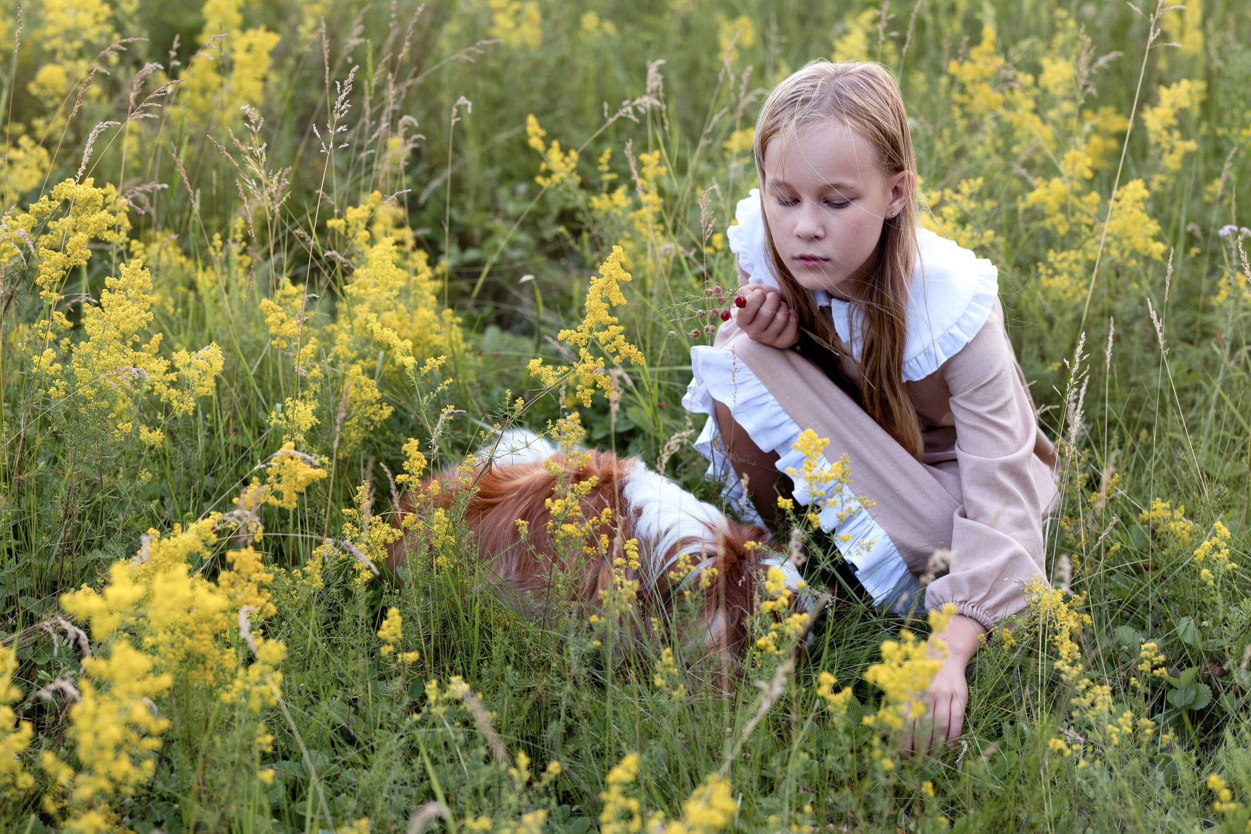 Цветущие поля. Семейный и детский фотограф в Красноярске, Дивногорцева Светлана