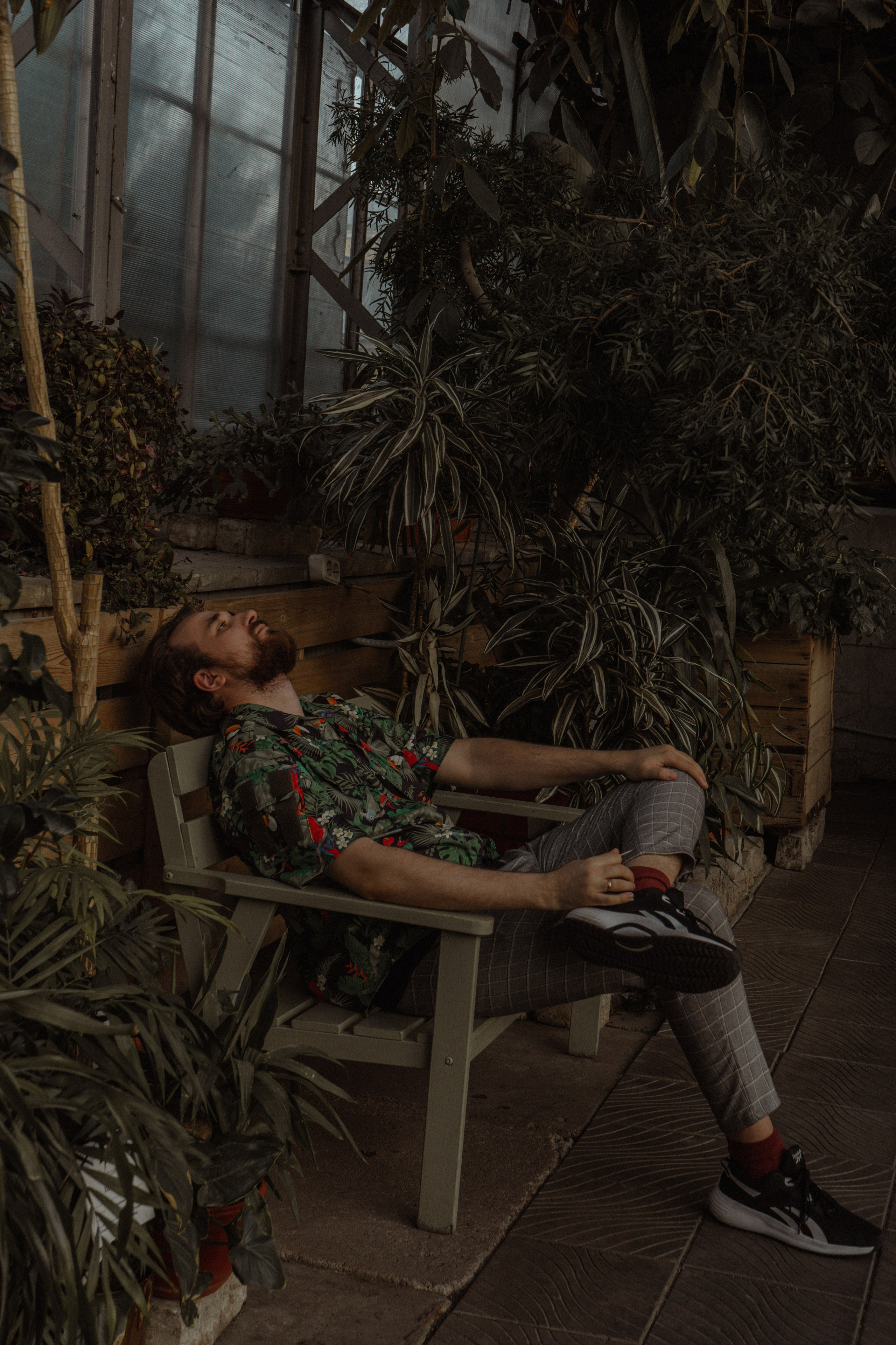 Глеб | Оранжерея Таврического сада. Фотограф предметной съемки, контент-фотограф, ретушер