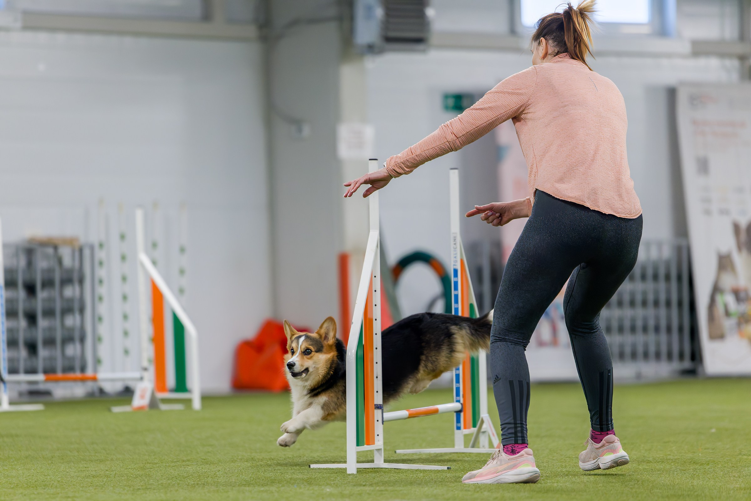 День рождения Пёсбурга — февраль 2025. Irenephoto.ru