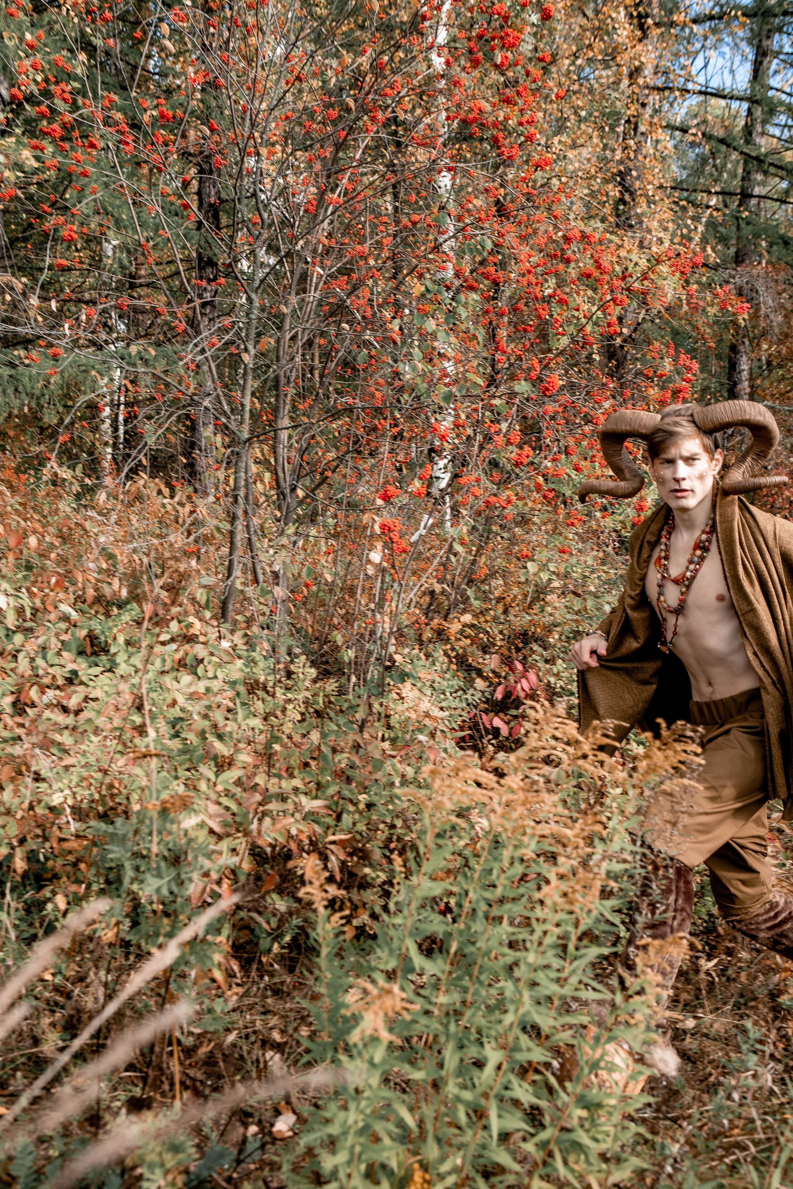 Волшебный лес. Фотограф Екатерина Голицына