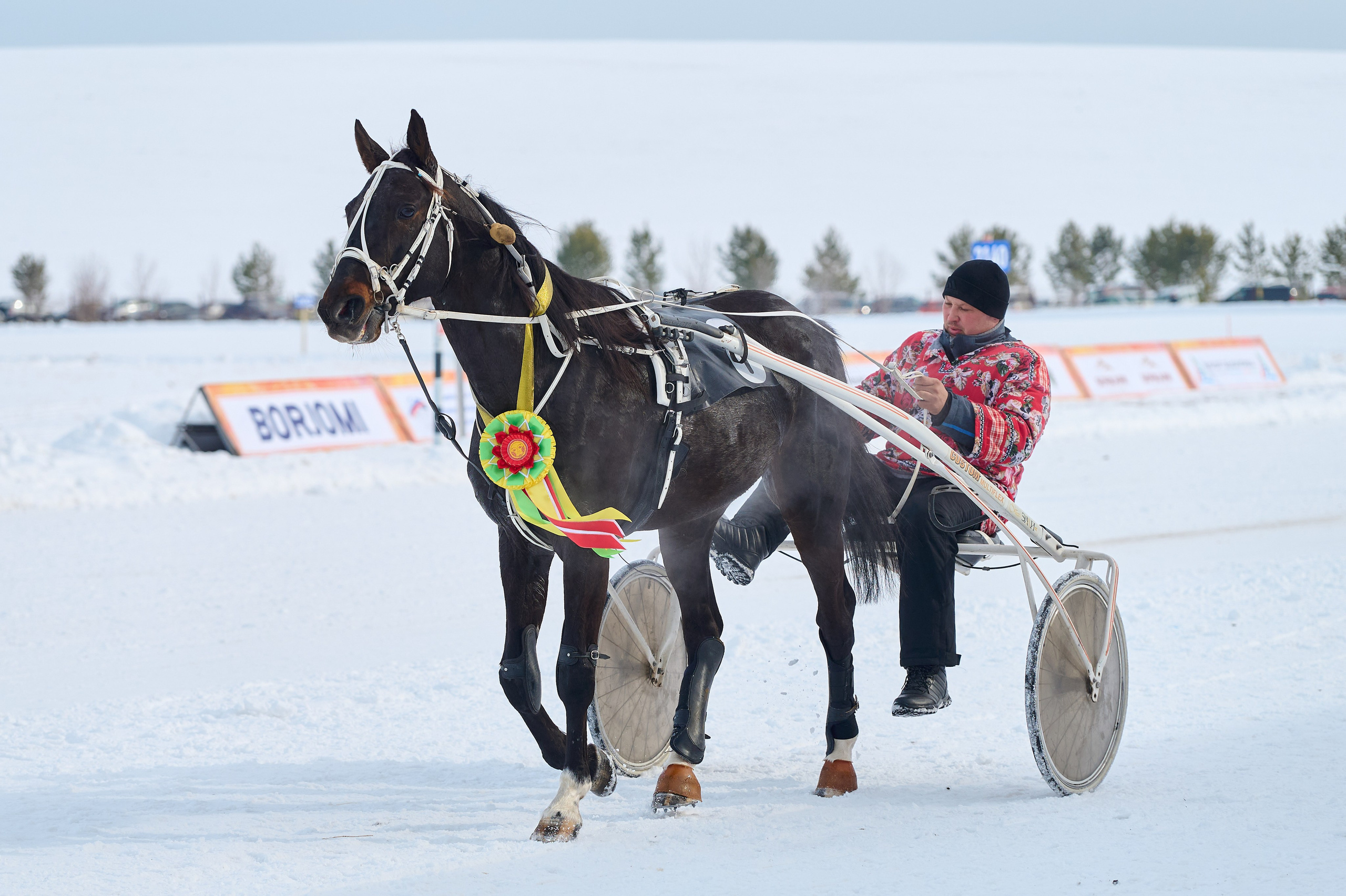 Сибирская масленица. Фотограф Опыт Качество Скорость Горный Алтай Барнаул