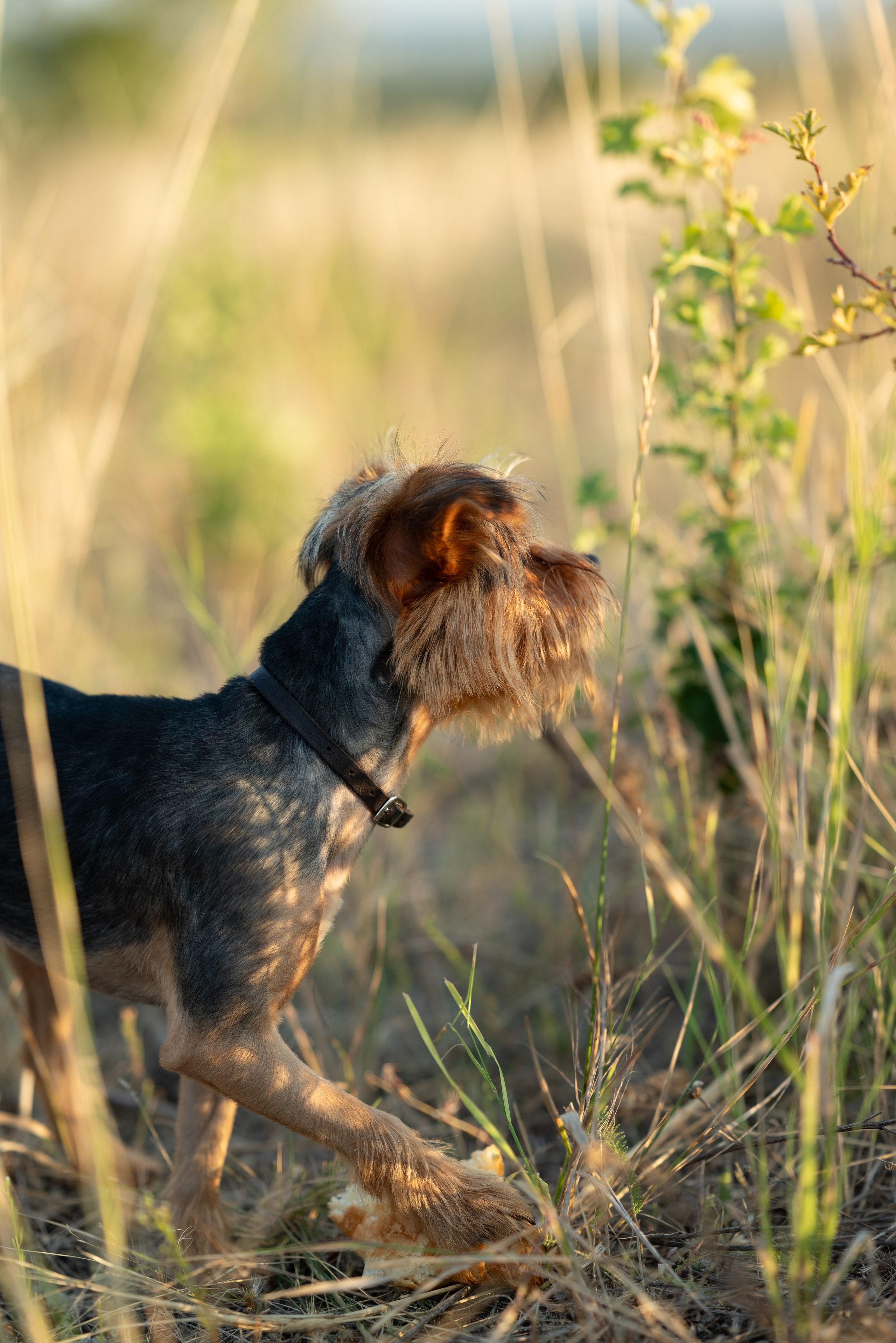 Семья Джаманкуловых. Семейный, женский и детский фотограф в Саратове Айгуль Дюсенбаева