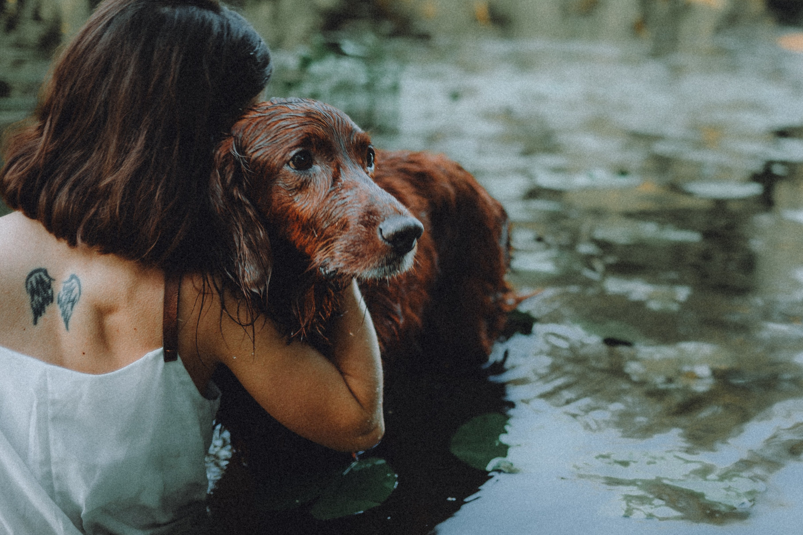 Маша и Джерри