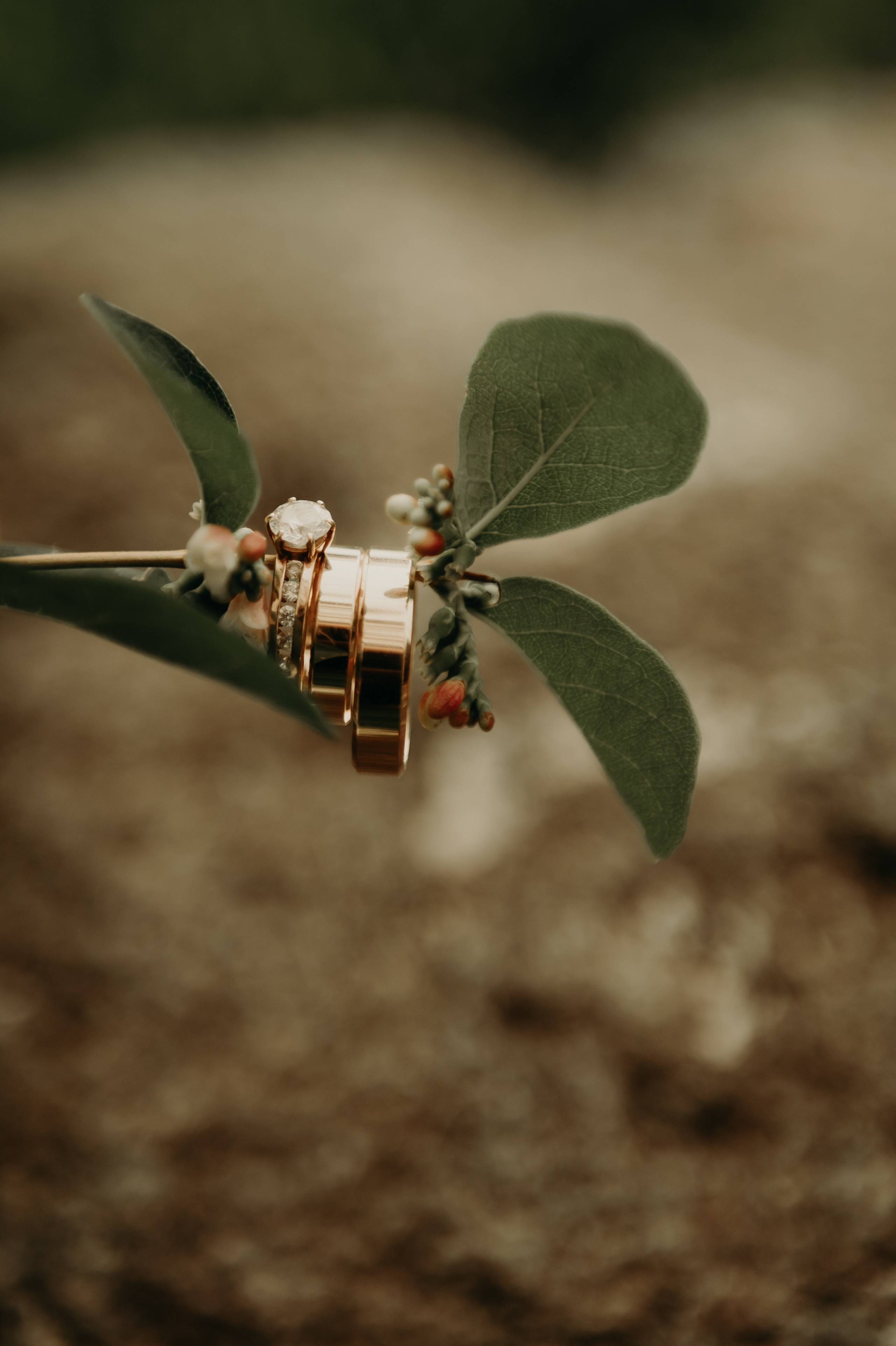 Свадебные фотографии. Фотограф в Барнауле Дарья Бутурлакина. Люби.Цени.Касайся