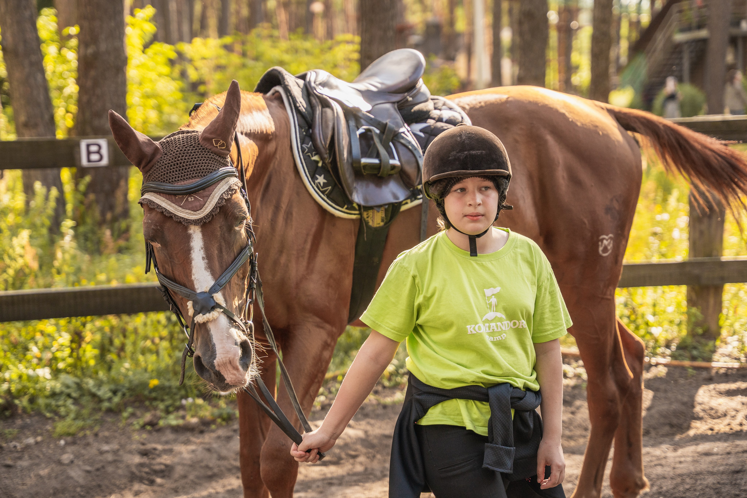 Конное занятие. Главная
