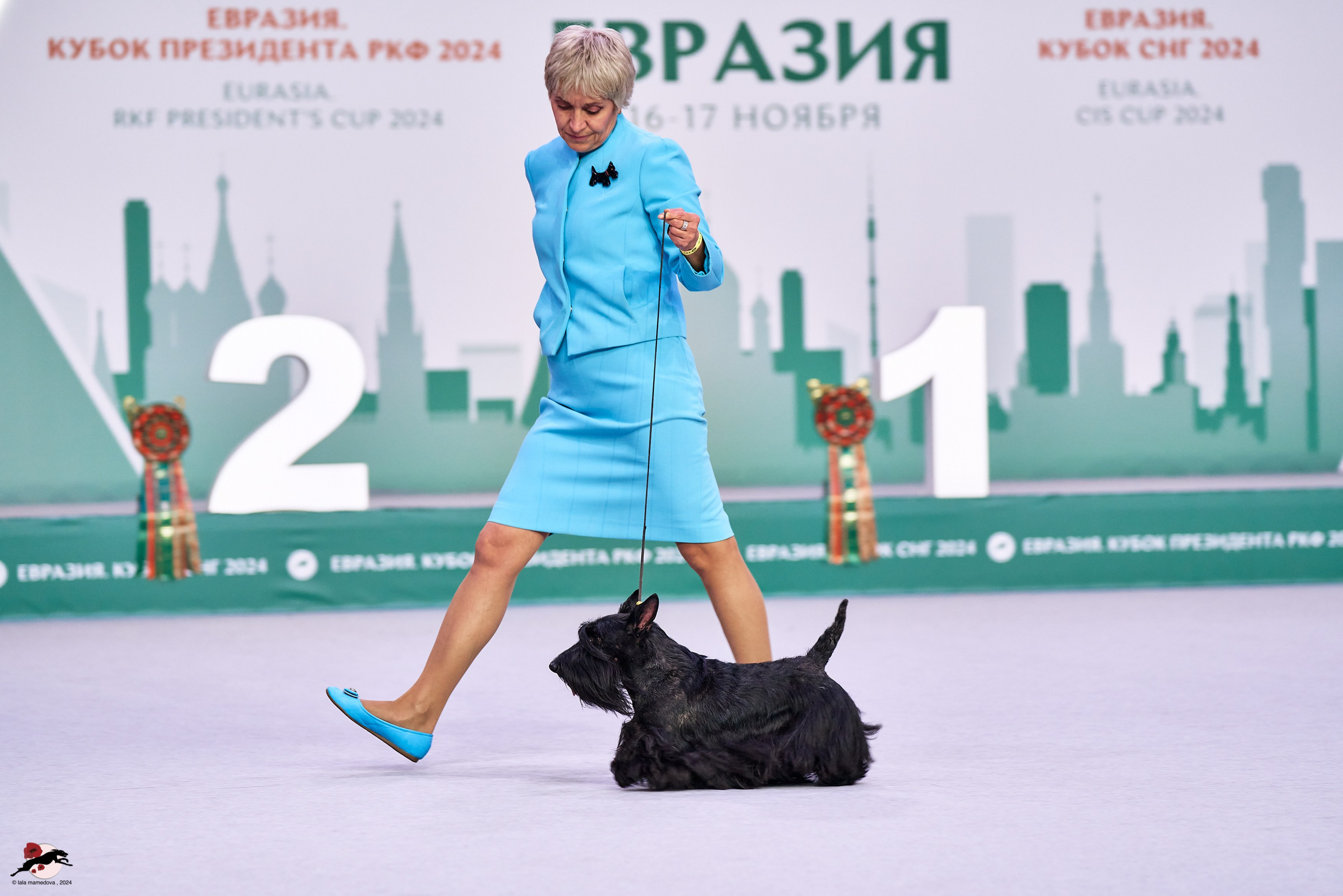 17.11.2024 «ЕВРАЗИЯ. КУБОК СНГ 2024»