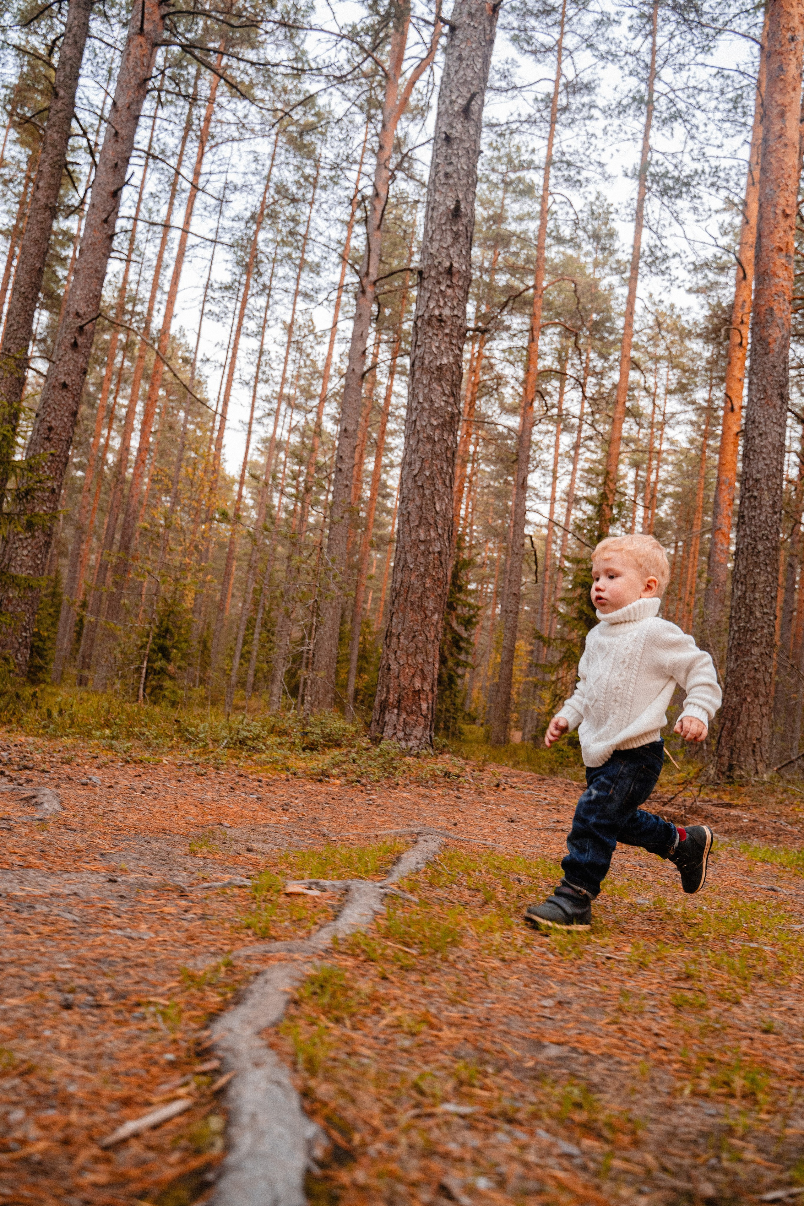 Осенью в лесу!. Бренд и контентные фотосессии, портреты и лавстори в Санкт-Петербурге