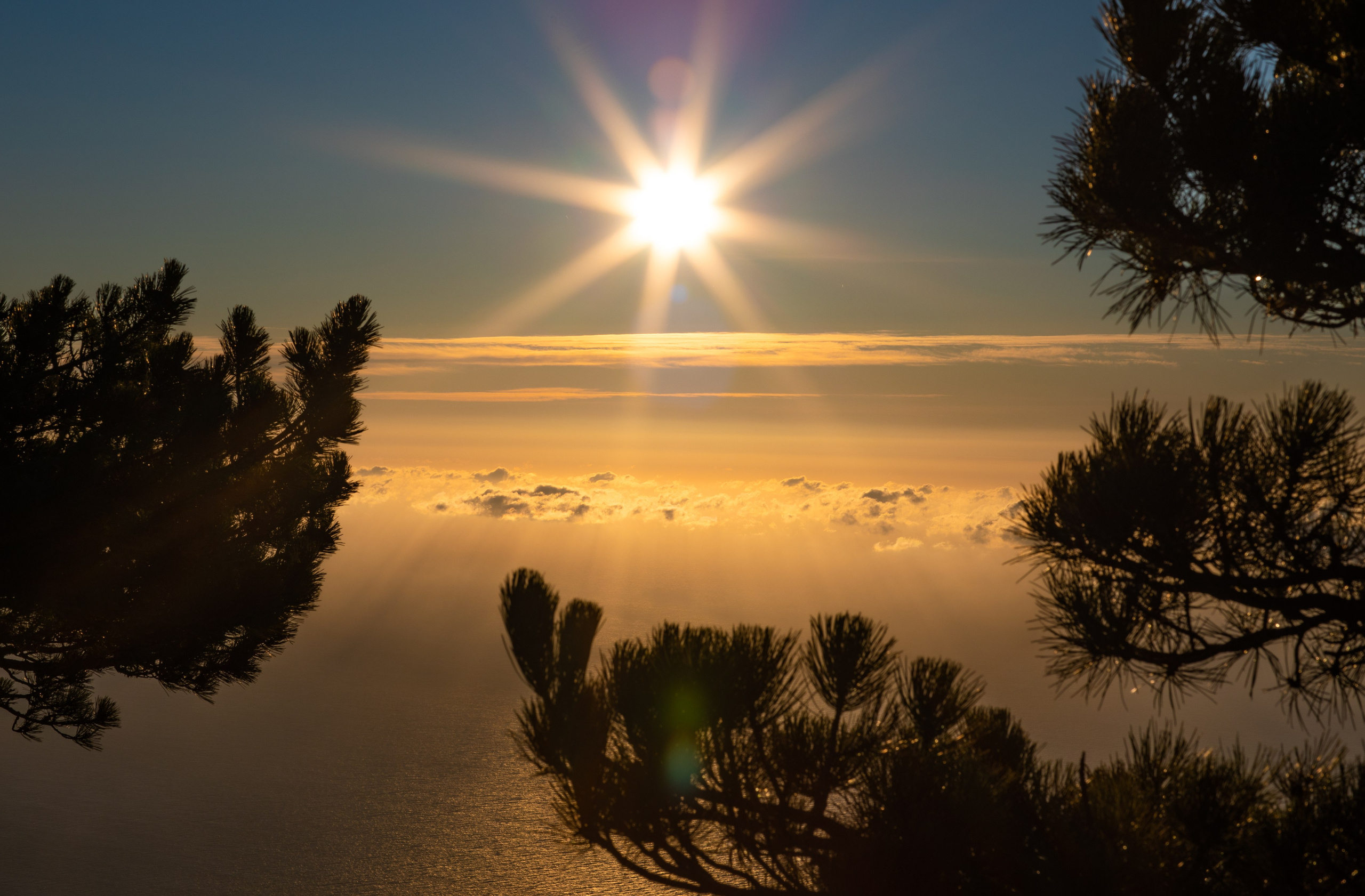 АЙ-ПЕТРИ. Фотограф Севастополь/Крым Светлана Евтушенко