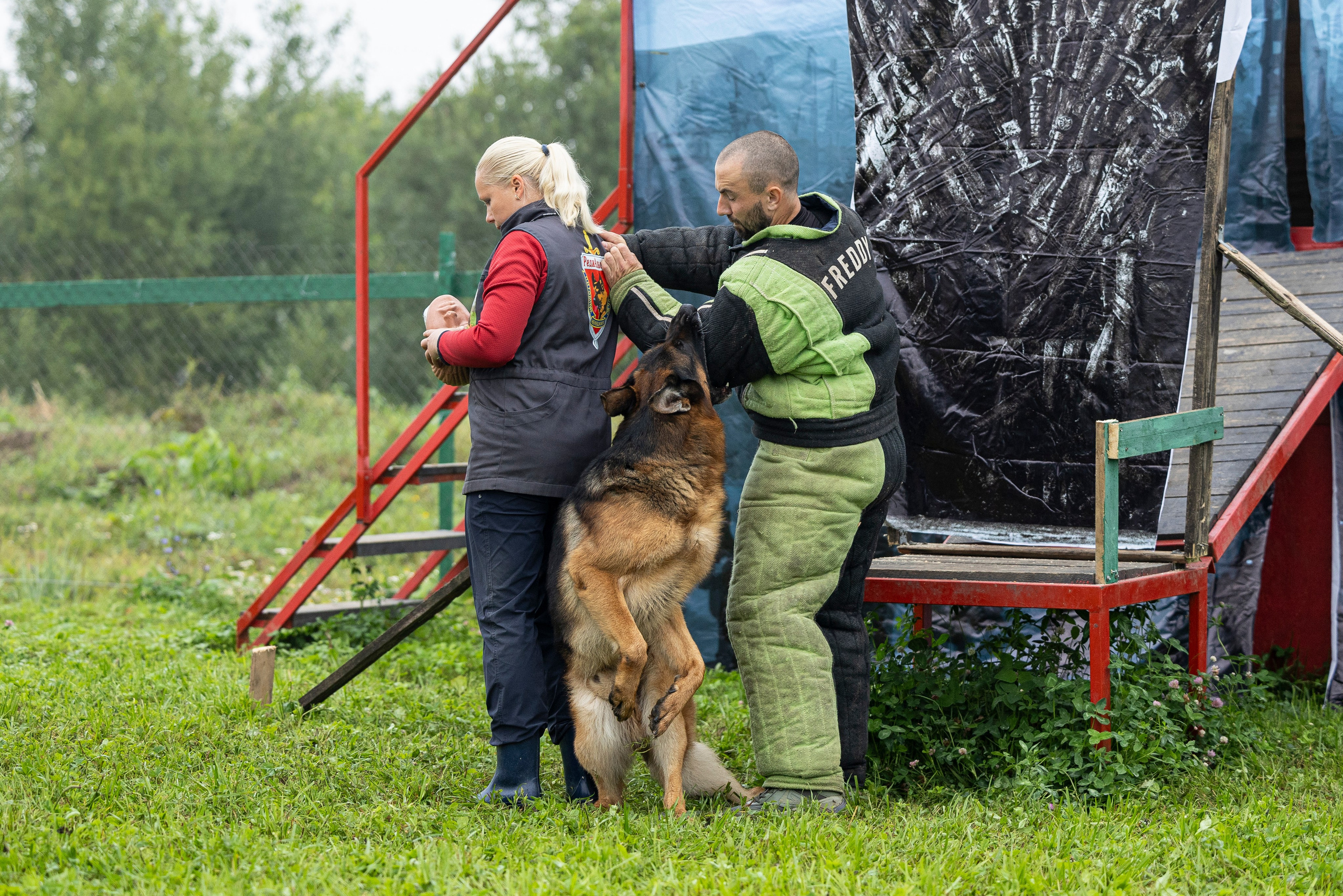Соревнования по Мондьорингу г. Вологда 10-11.08.2024. Фотограф-анималист Анна Маринич