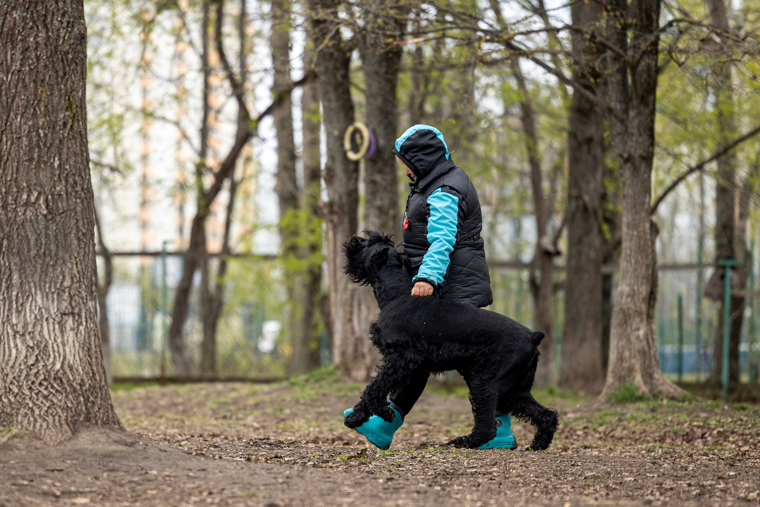 Квалификационные состязания по мондьорингу г. Вологда 11.05.24. Фотограф-анималист Анна Маринич
