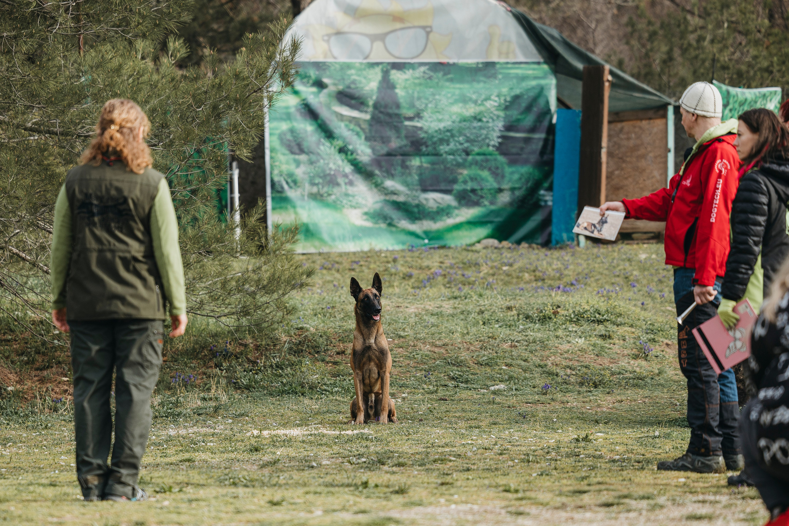 Геленджик Мондьоринг. Фотограф-анималист Анна Маринич