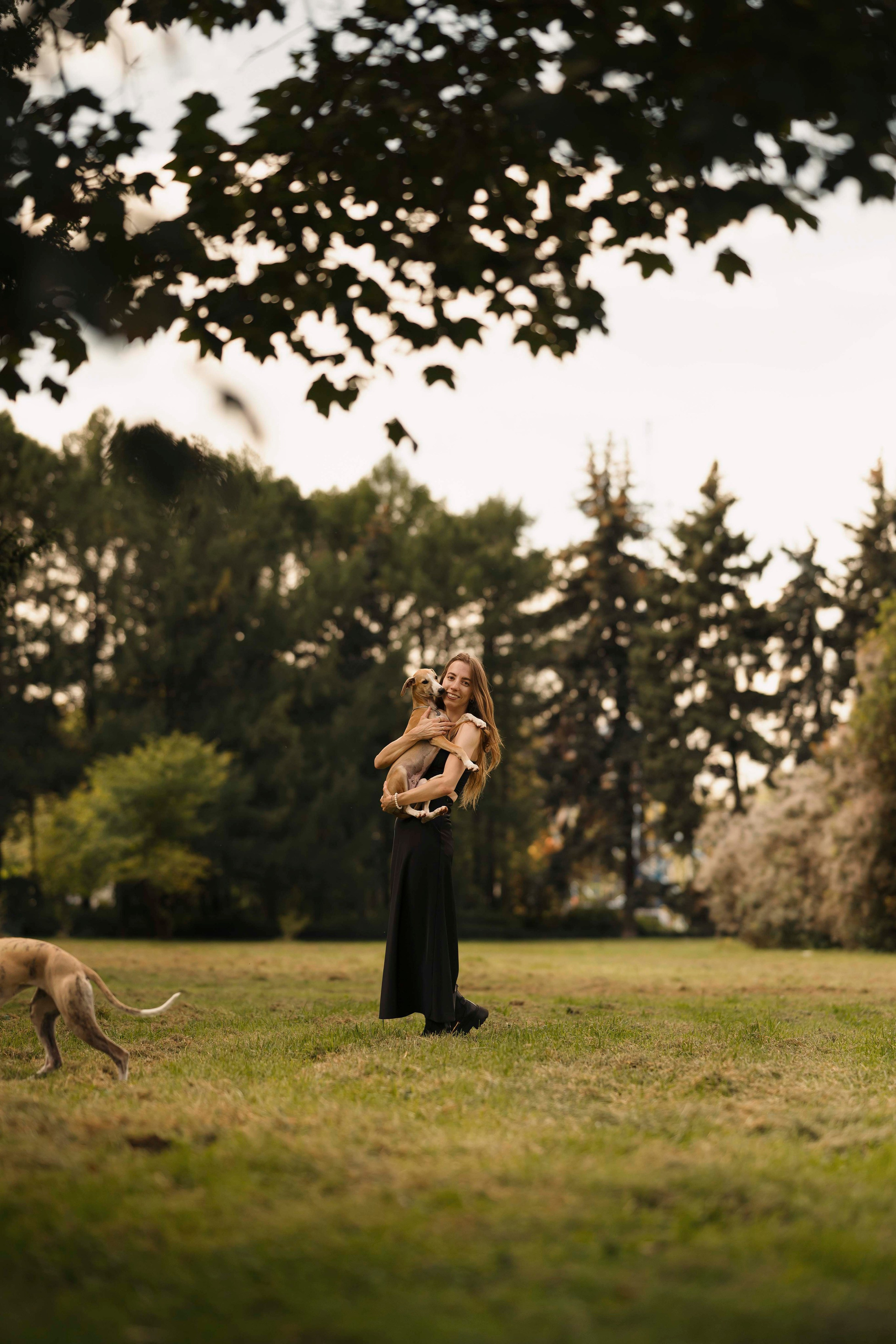 Заказать съемку. Фотограф- анималист Александра Матвеева