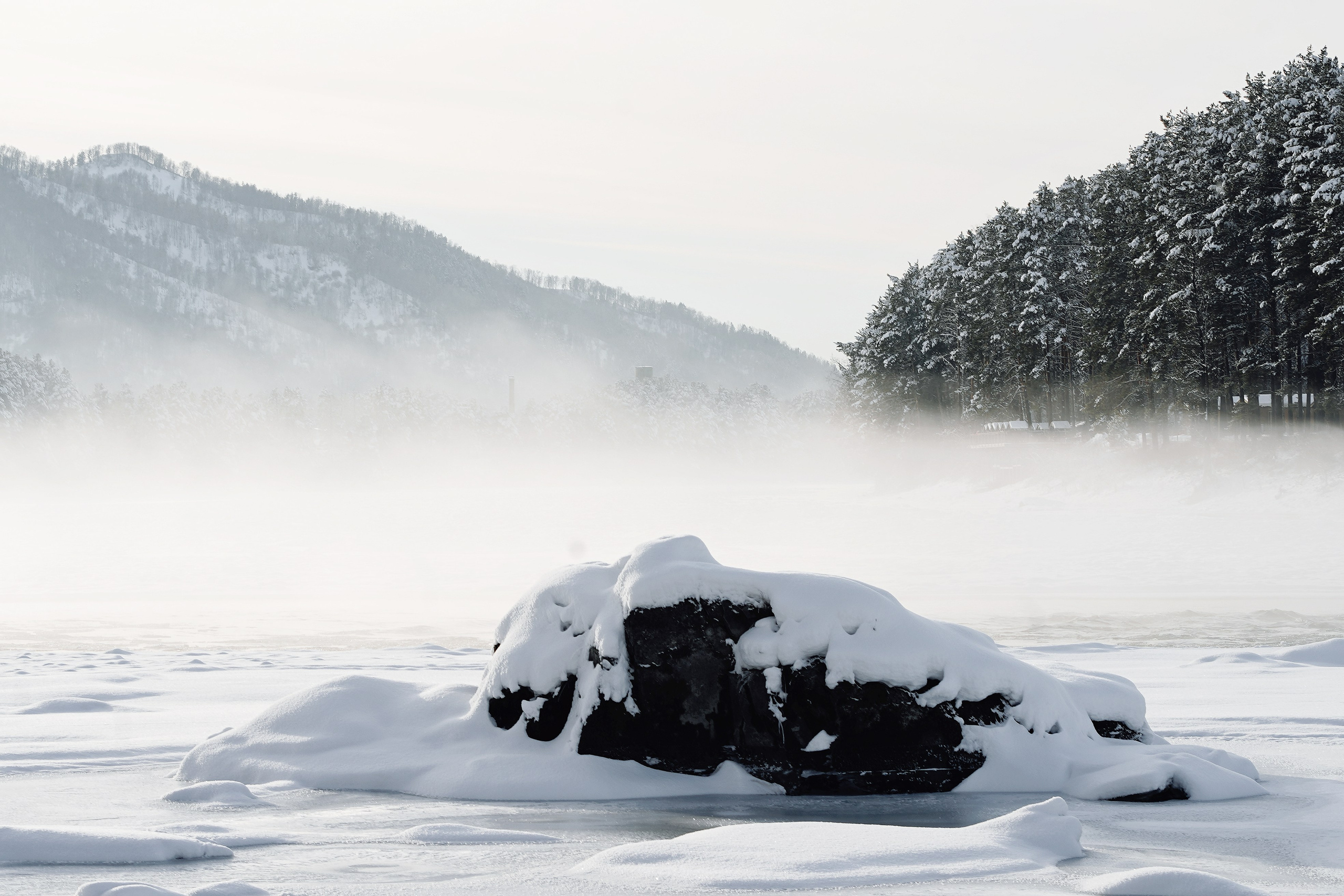 Кадын||Алаш Топчин. Выездной фотограф-видеограф в Республике Алтай Солоны Куюкова