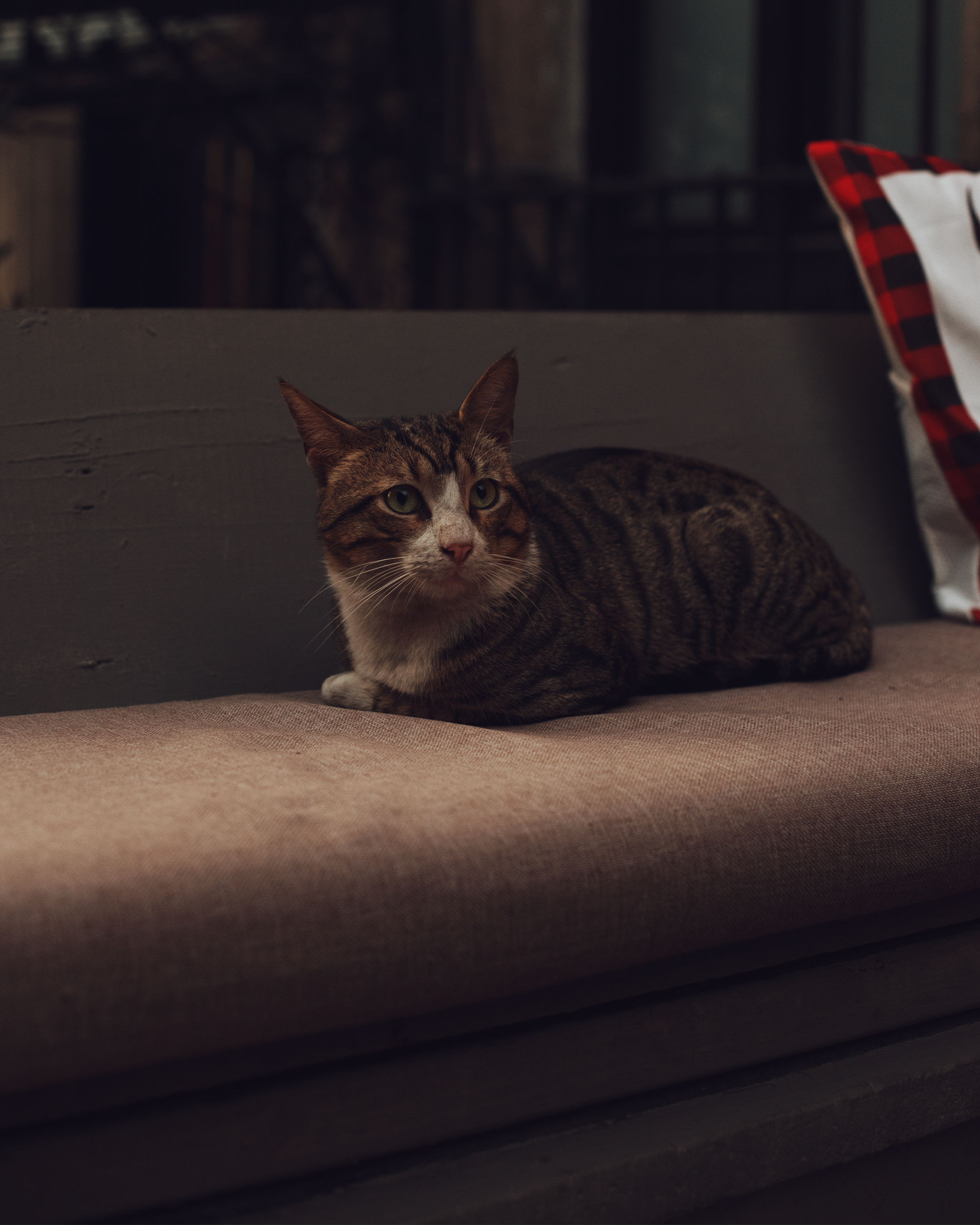 Путешествие по Стамбулу: истории в каждом кадре. Коммерческий и предметный фотограф в Гуанчжоу Коваленко Александр