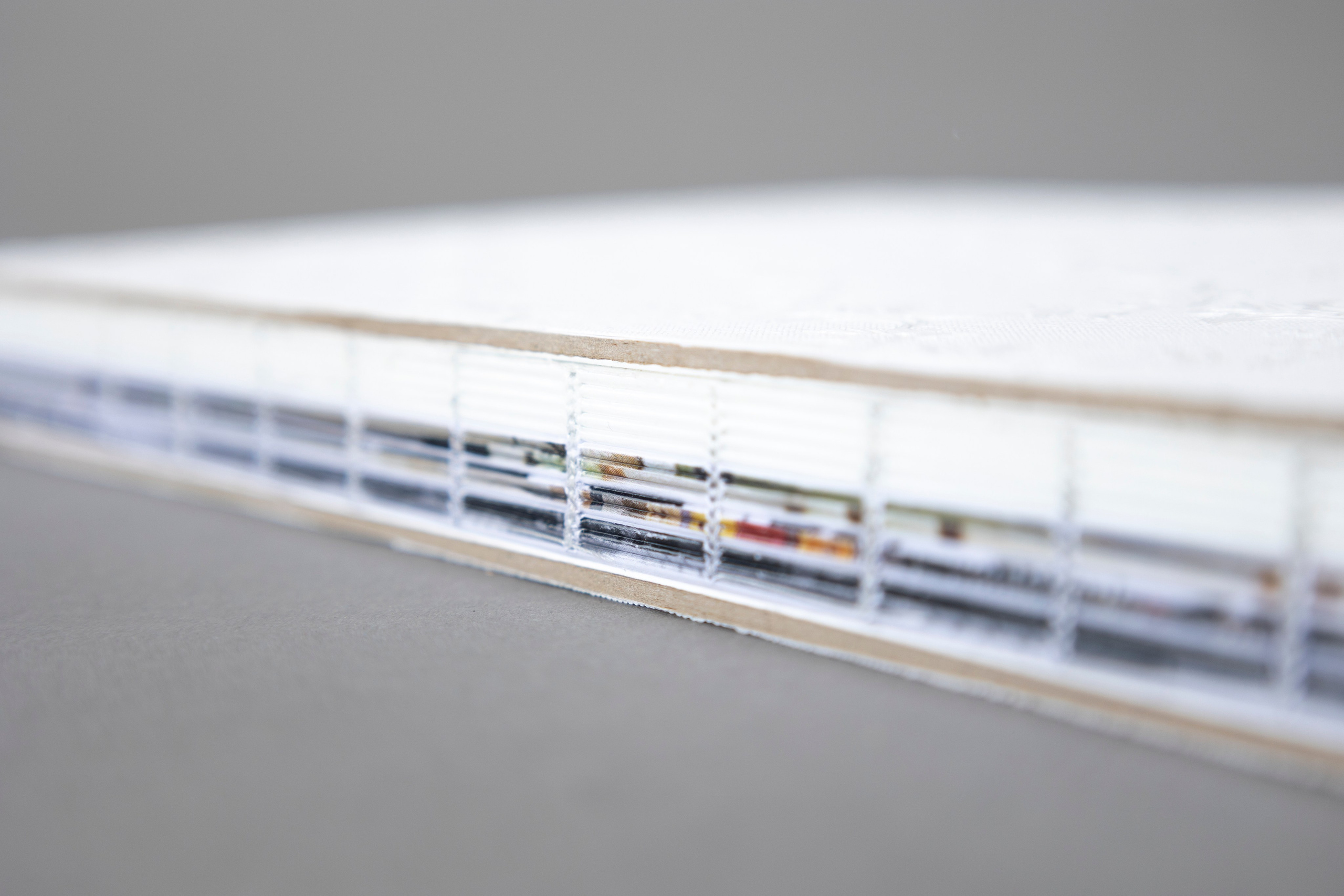 Book for Anna. Юлия Петренко