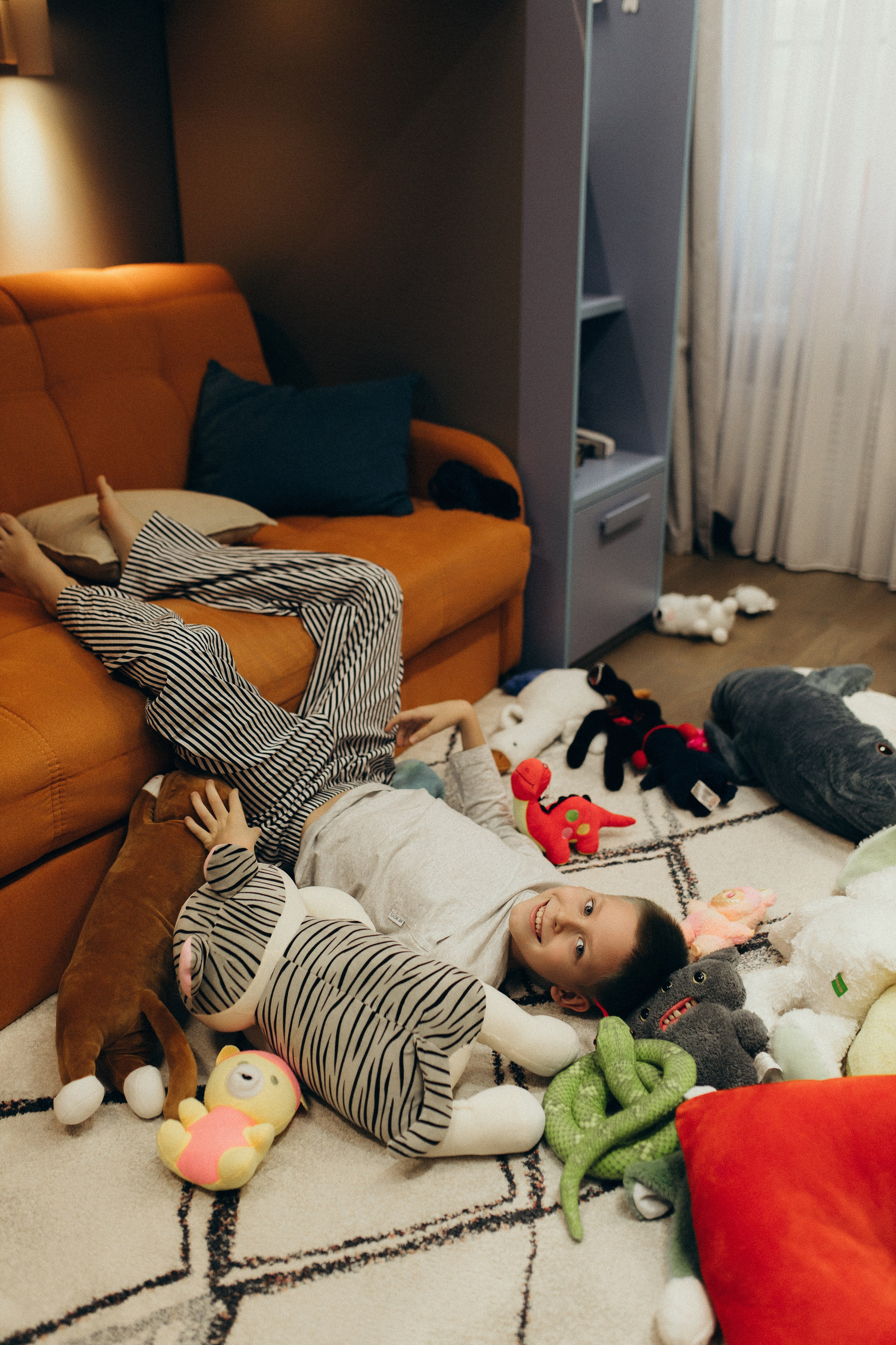 Домашняя история. Meryfotoidea