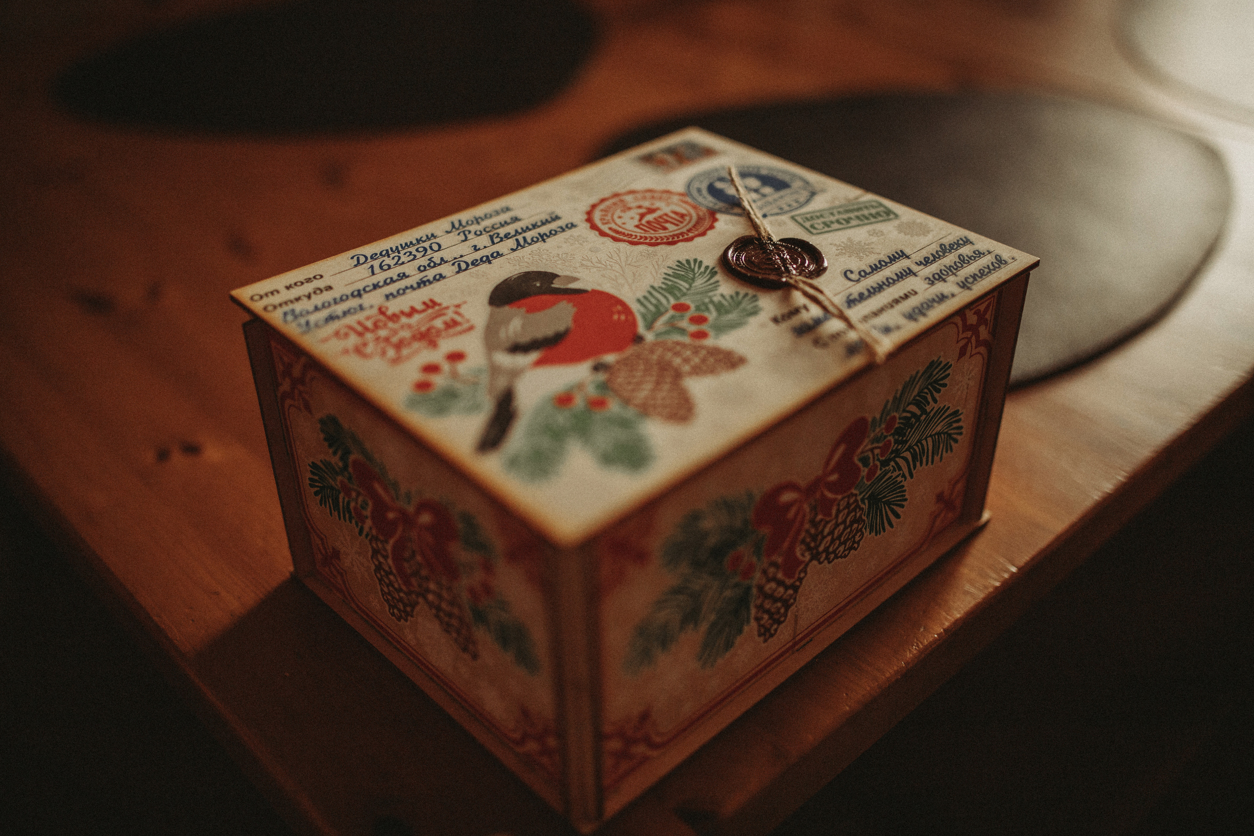 Новогодняя…. Фотограф в Краснодаре Алена Соколовская