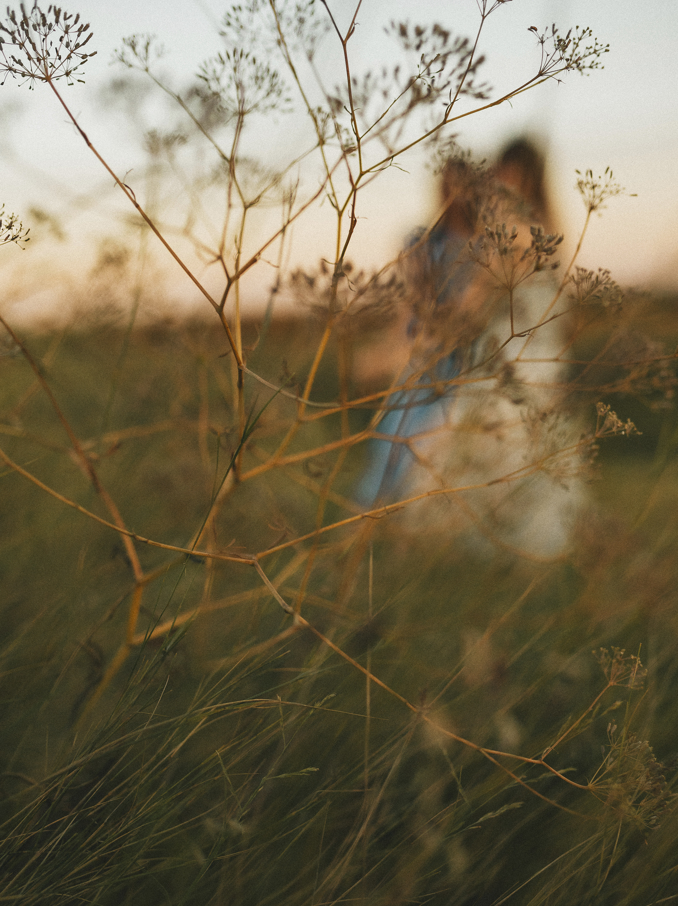 На закате…. Фотограф в Краснодаре Алена Соколовская