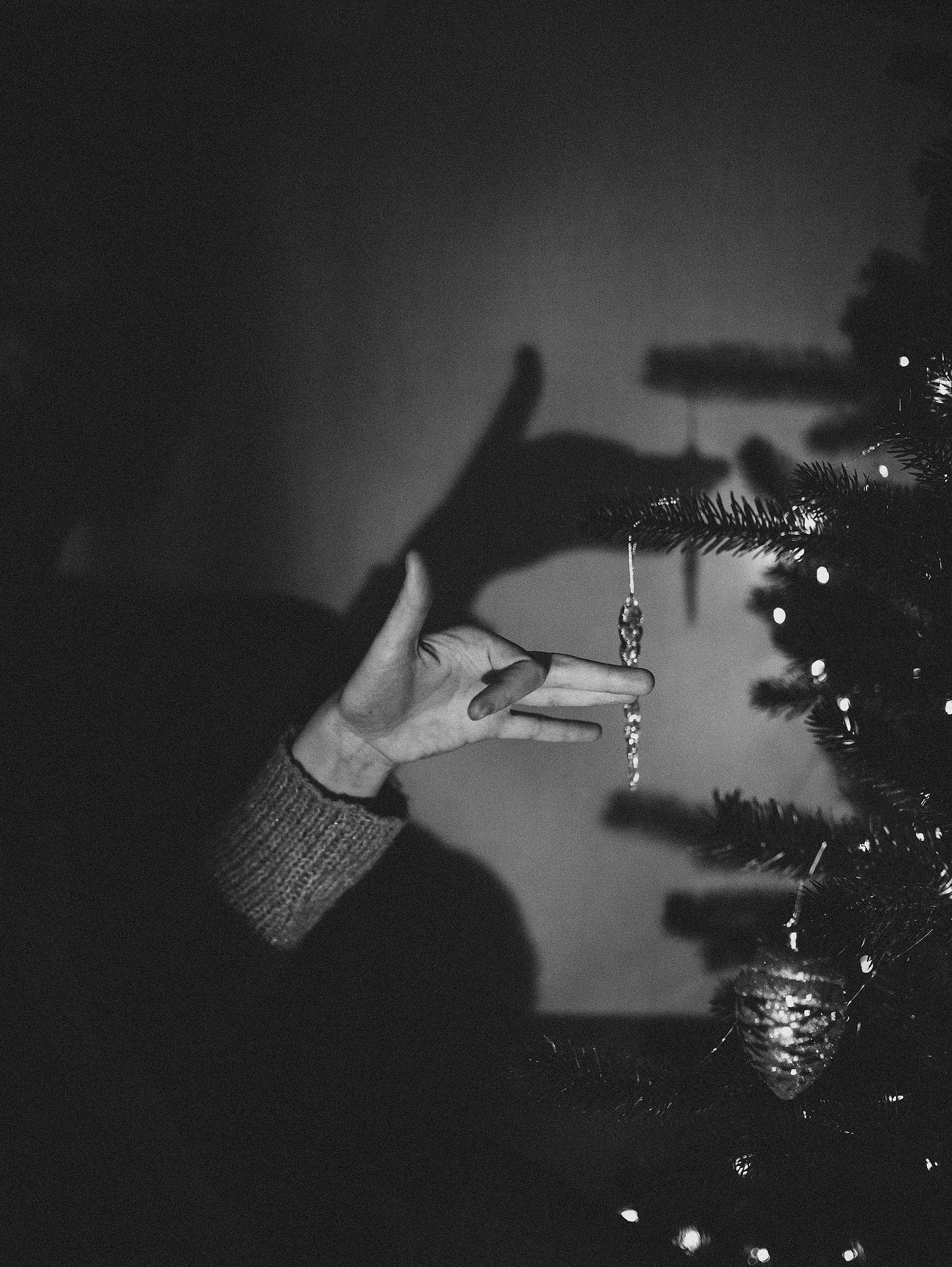 Новый Год. Фотограф в Краснодаре Алена Соколовская