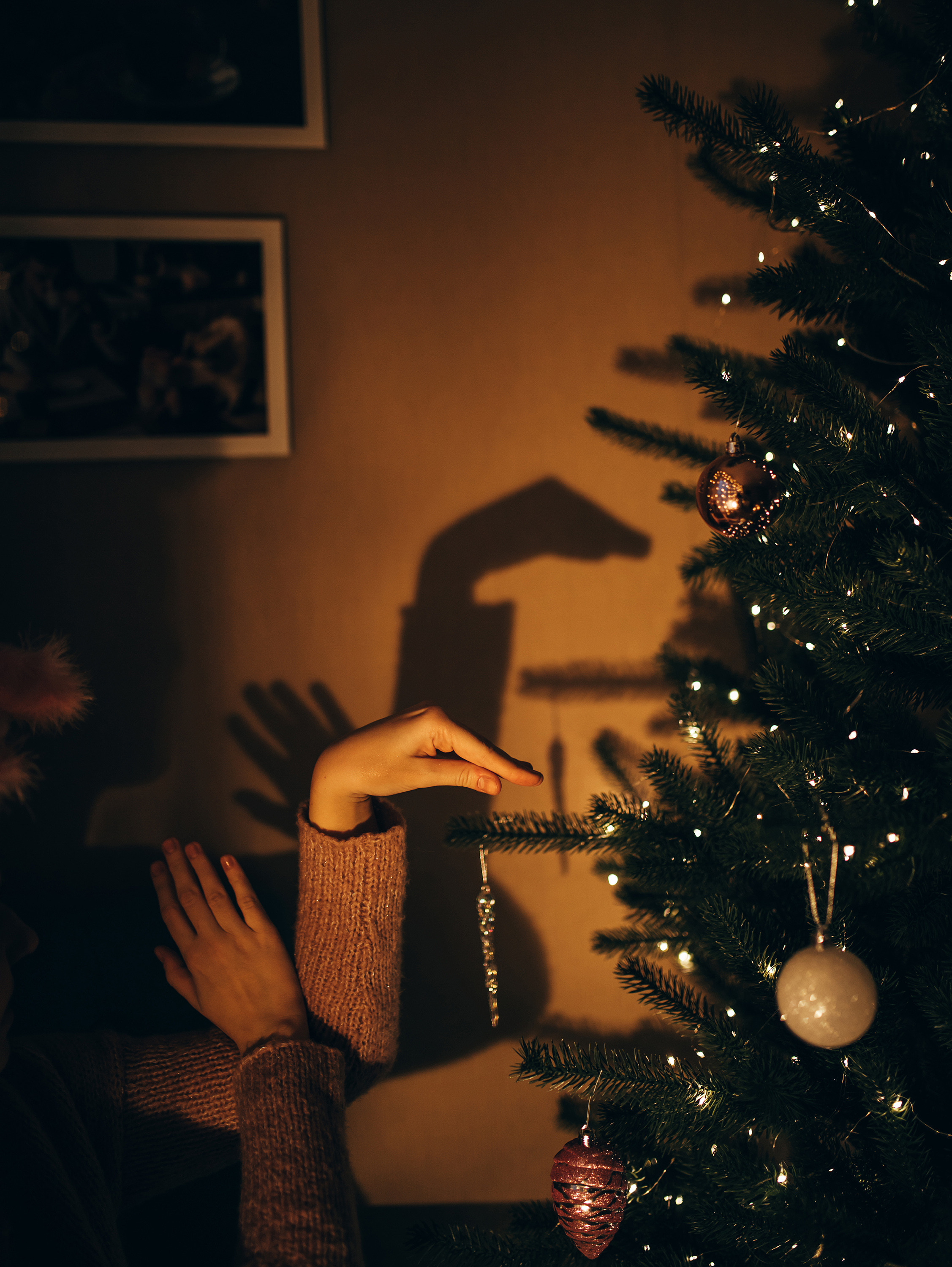 Новый Год. Фотограф в Краснодаре Алена Соколовская