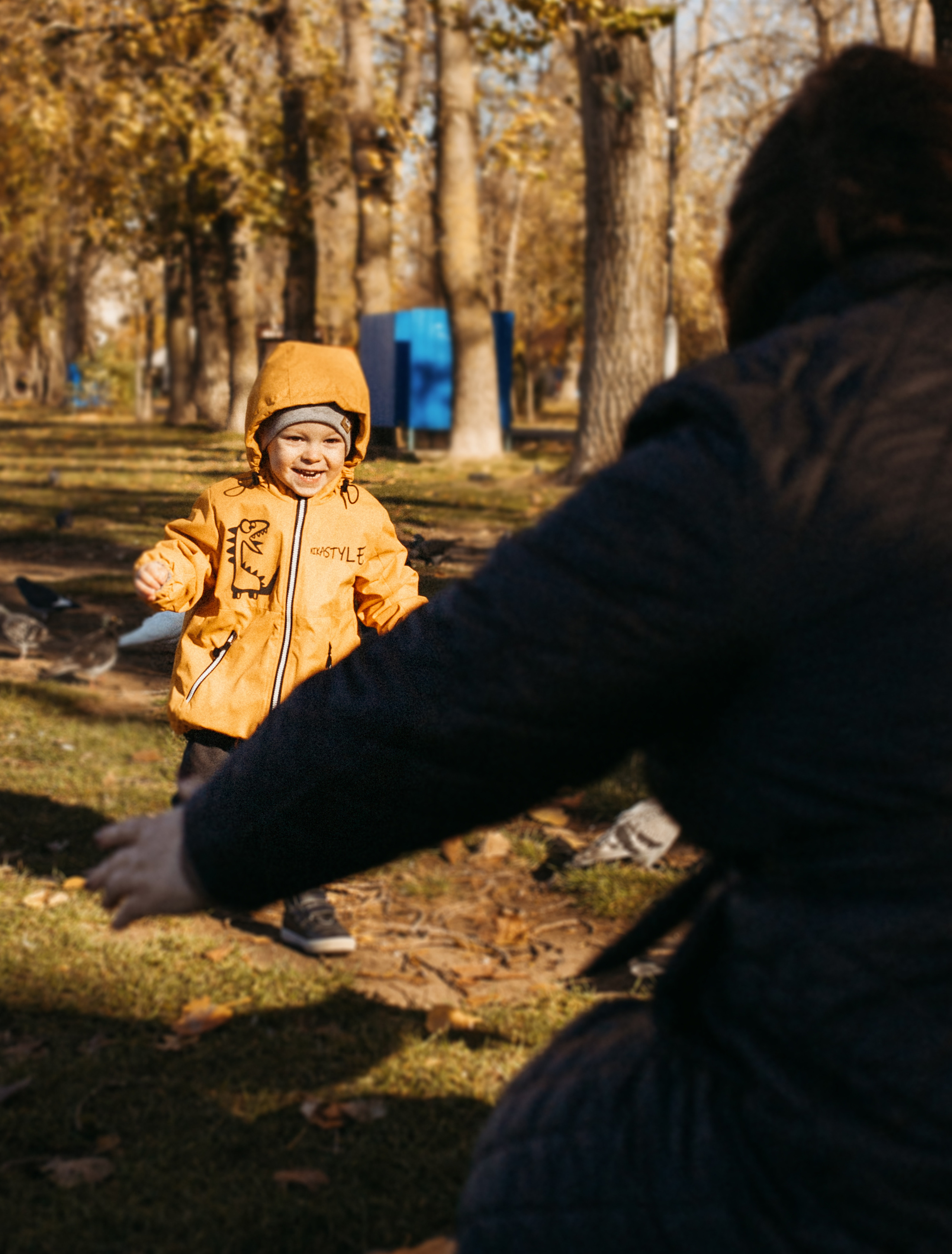 Осенняя прогулка. Фотограф в Краснодаре Алена Соколовская
