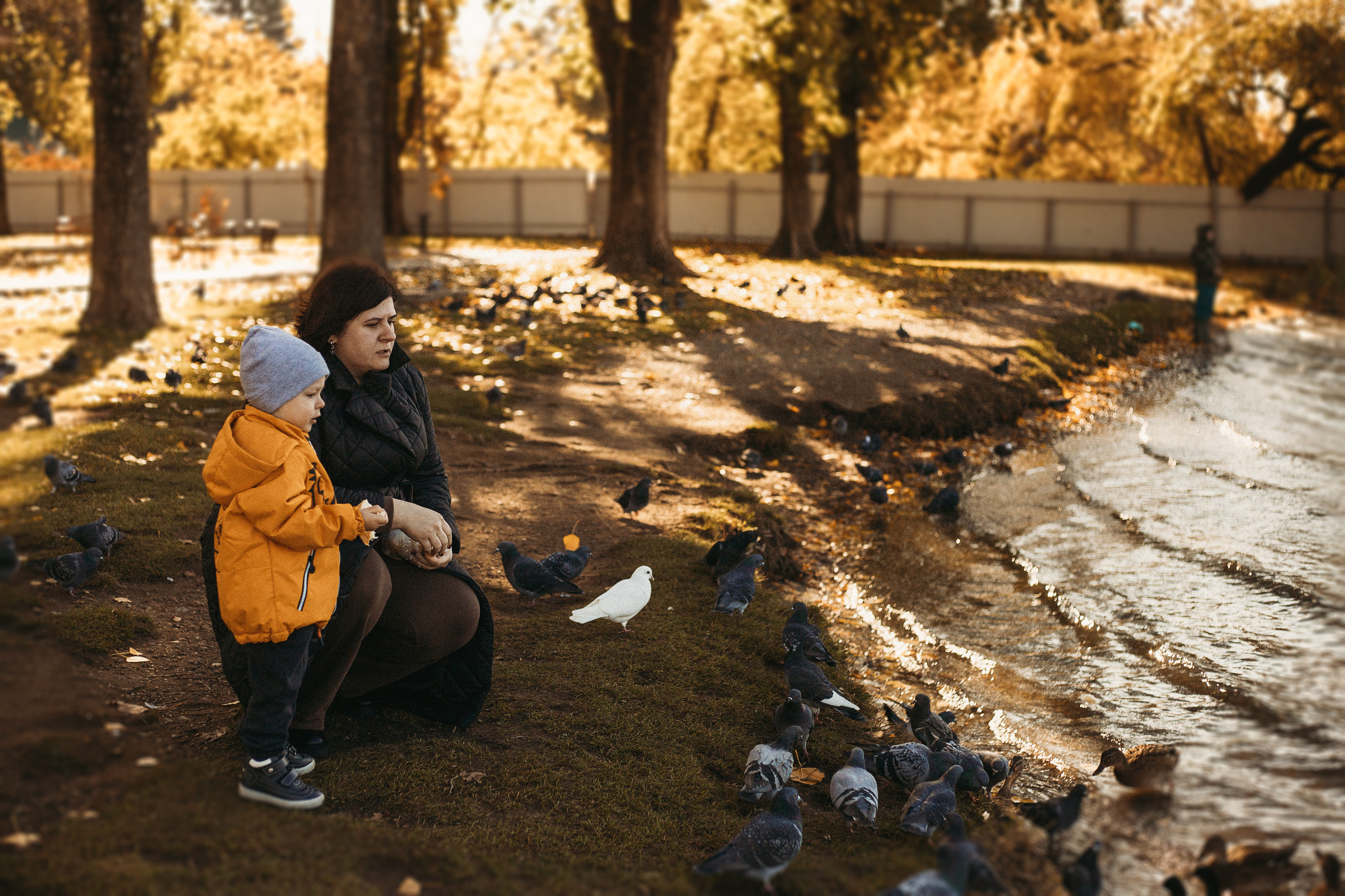 Осенняя прогулка. Фотограф в Краснодаре Алена Соколовская