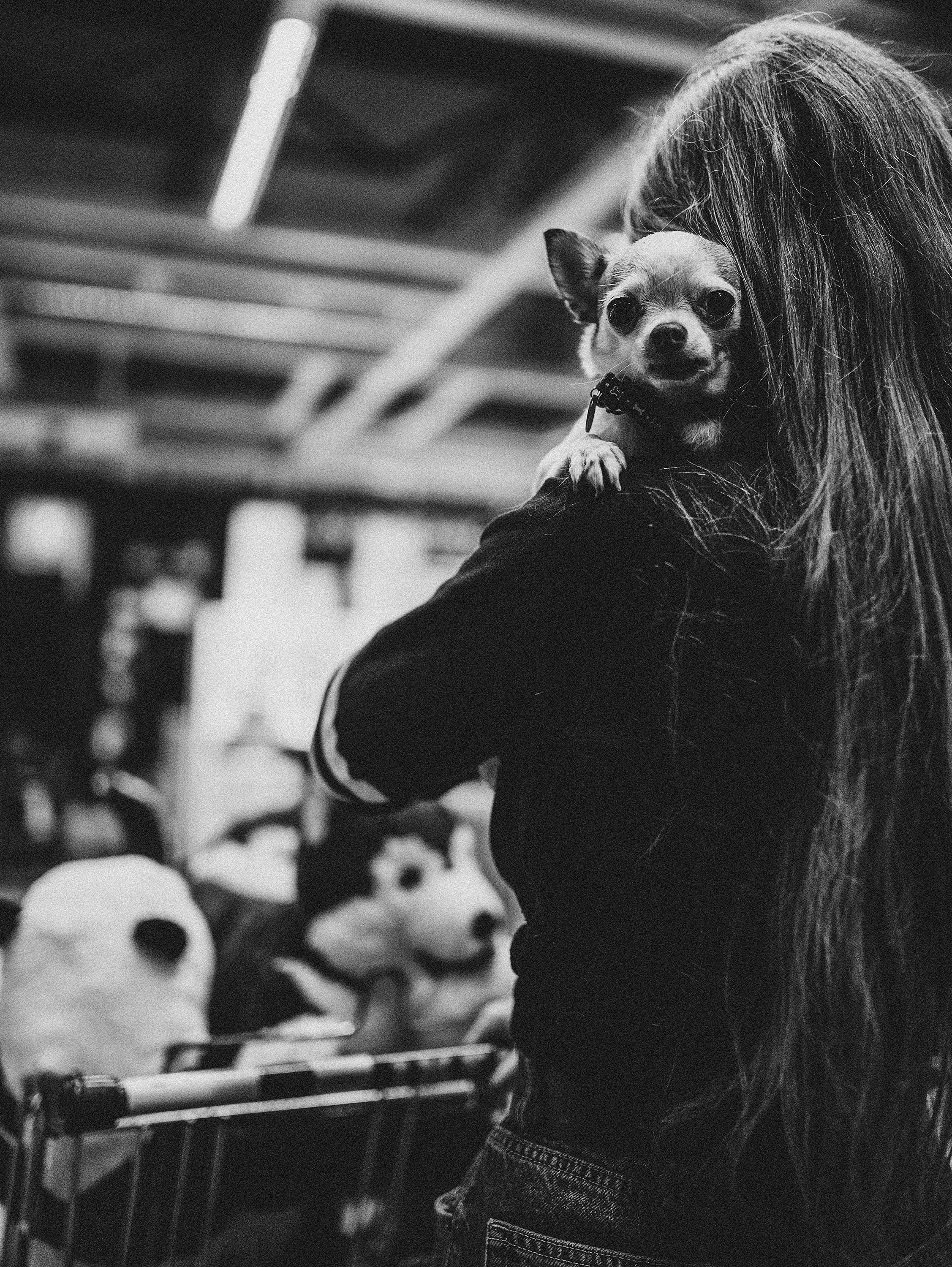 Есть идея — есть Икеа. Фотограф в Краснодаре Алена Соколовская