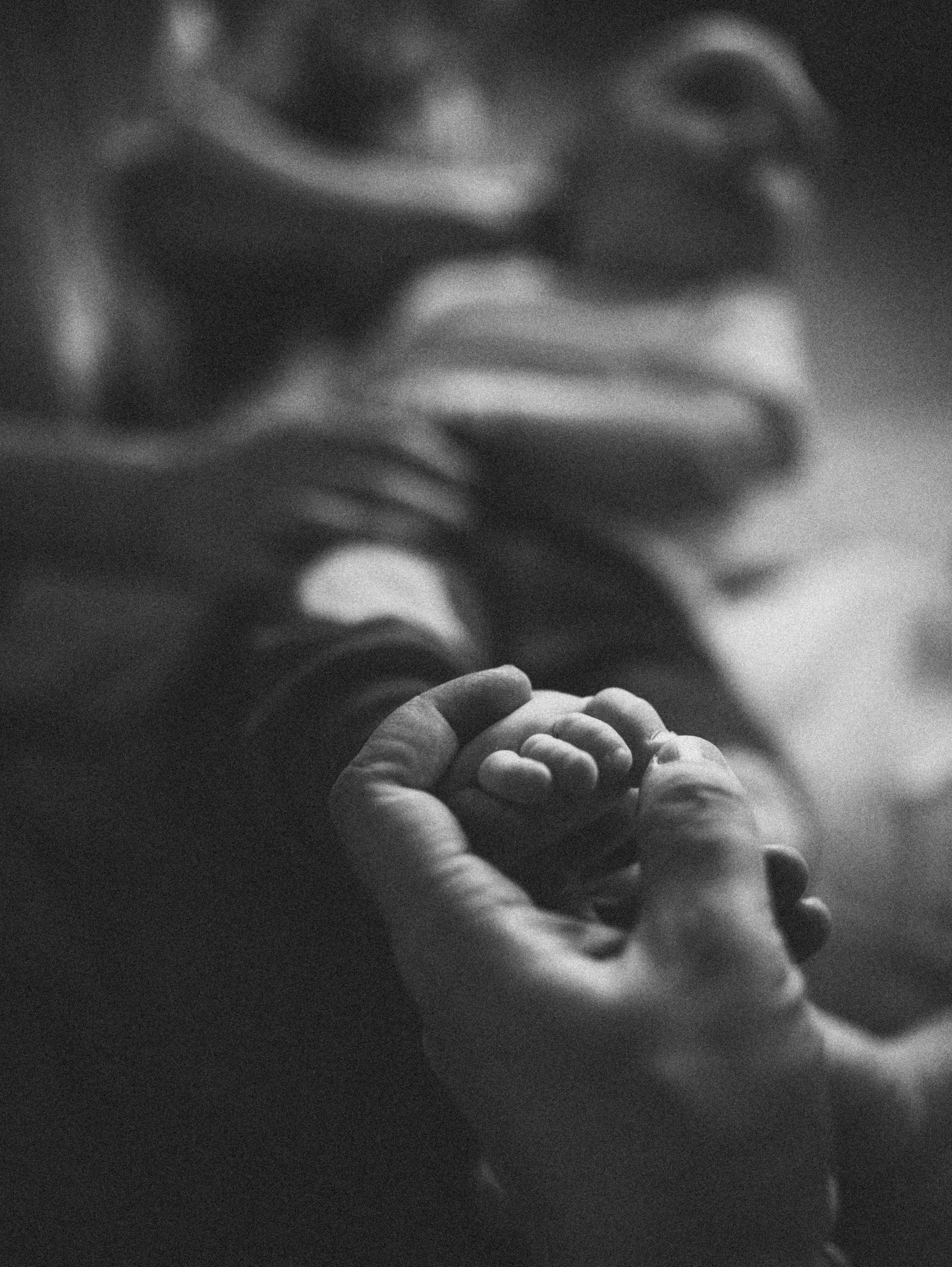 Новогодняя…. Фотограф в Краснодаре Алена Соколовская