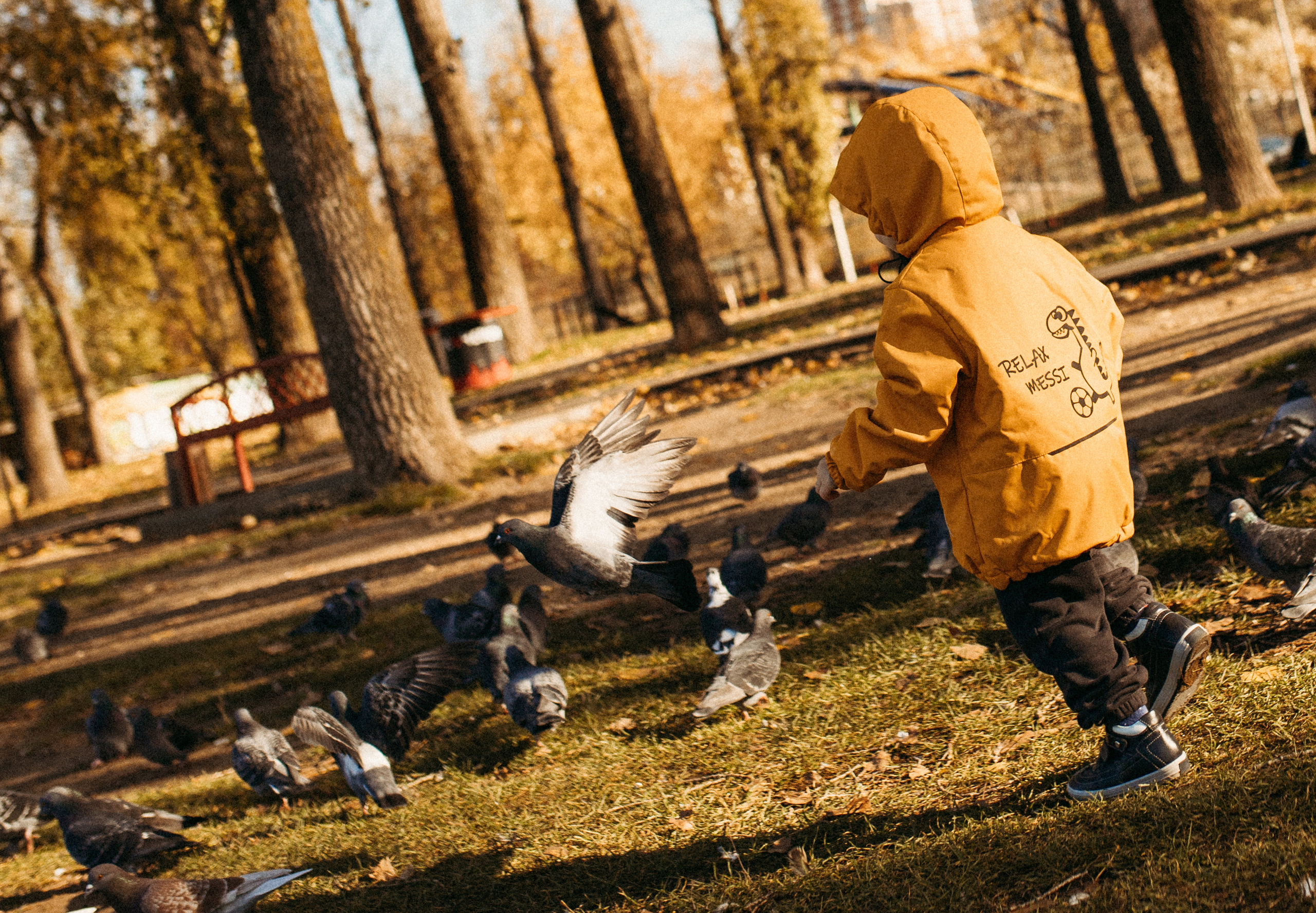 Осенняя прогулка. Фотограф в Краснодаре Алена Соколовская